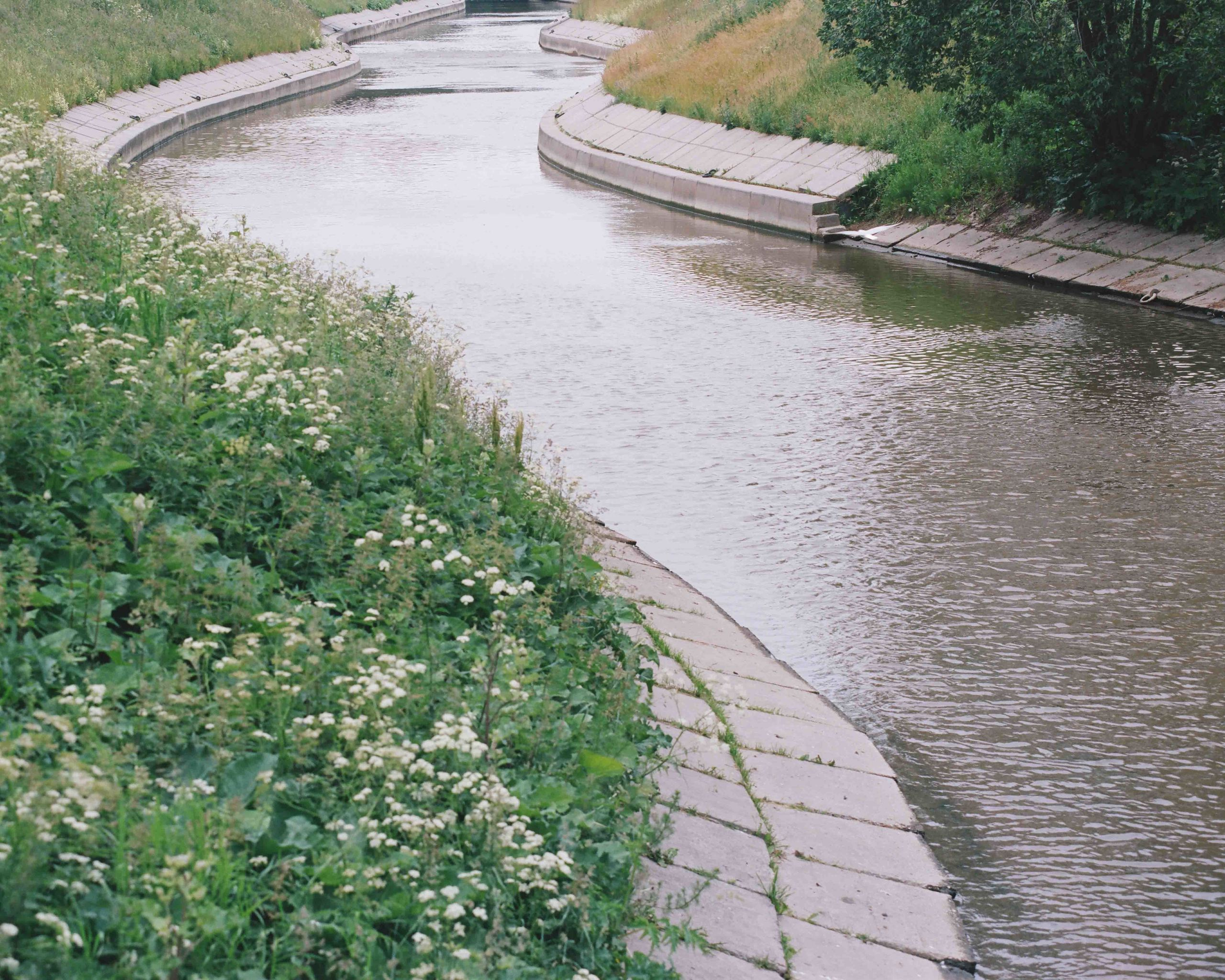 Юлия Павлова