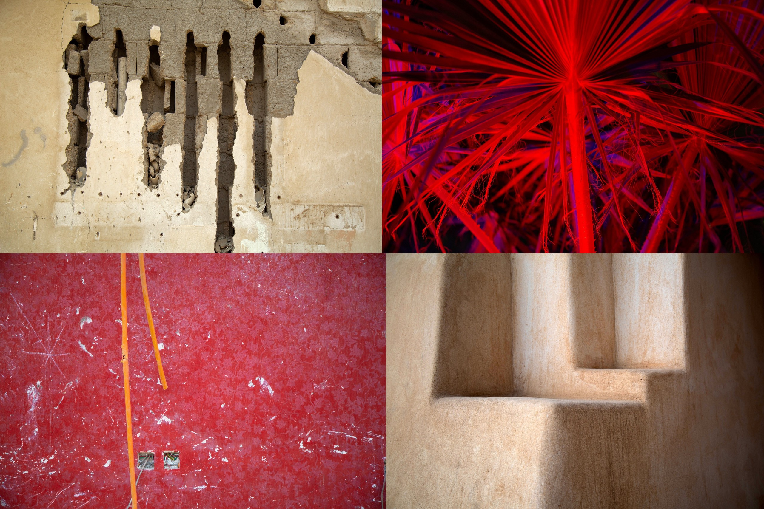 Зоя Альшаравнех