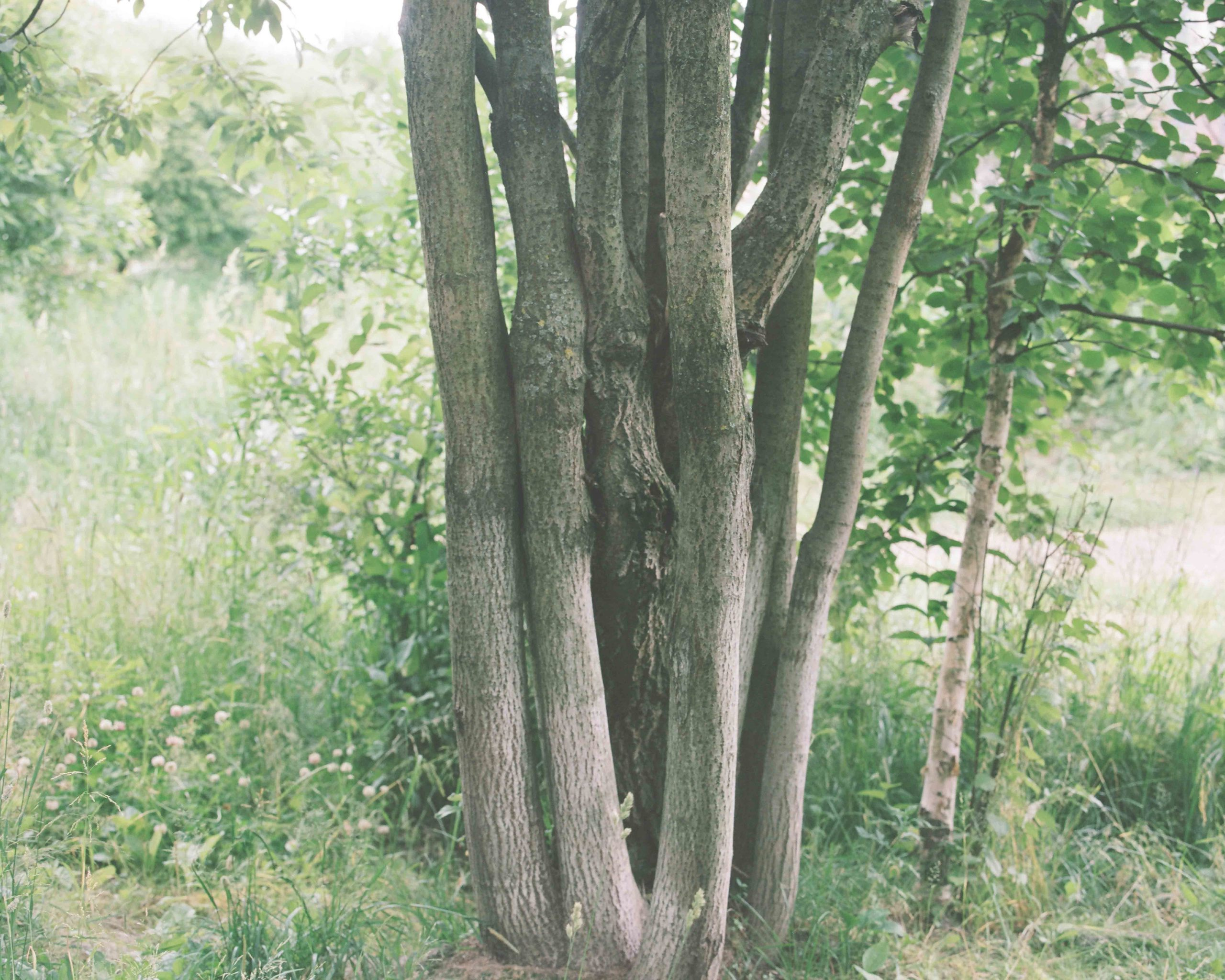 Юлия Павлова