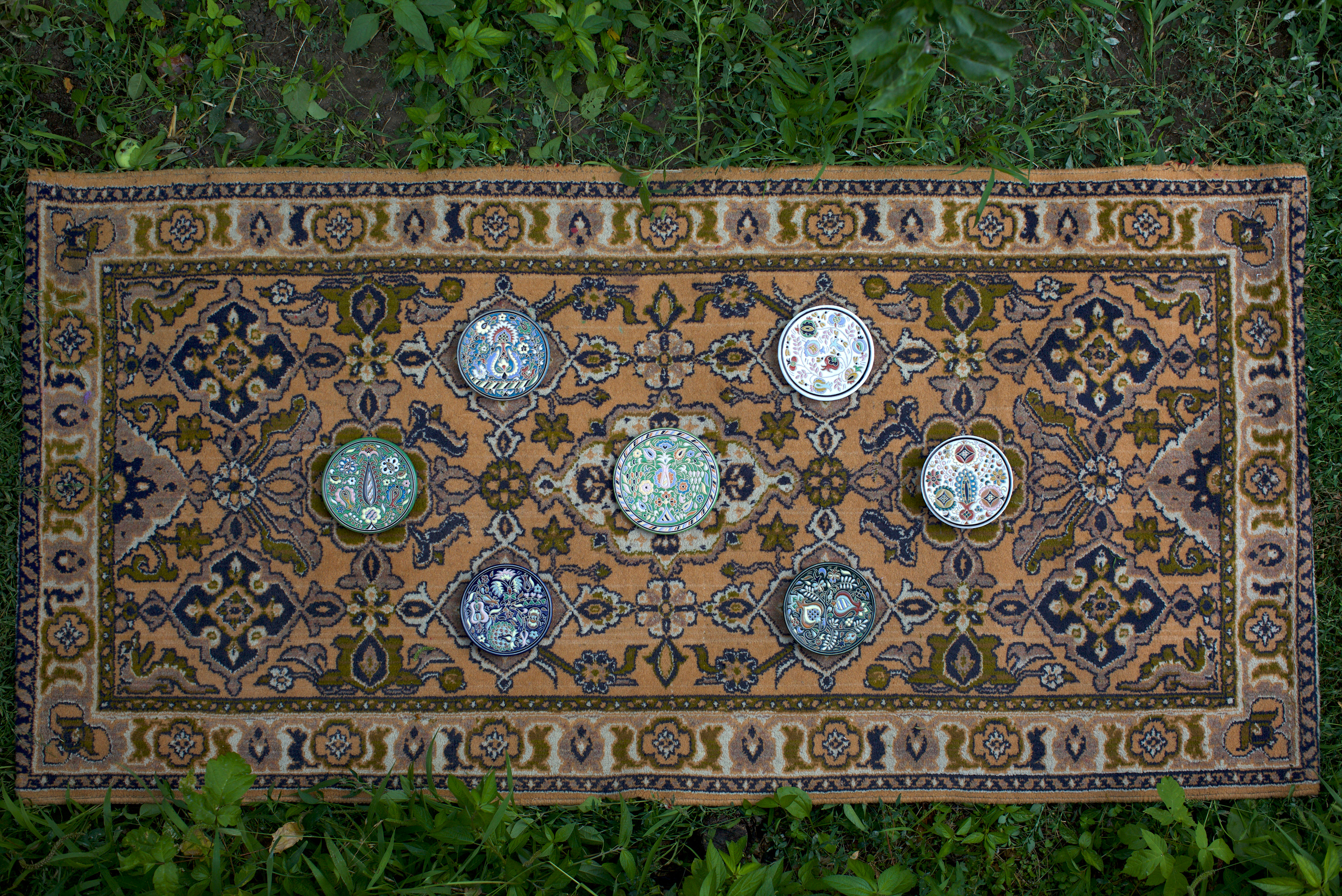 Зоя Альшаравнех