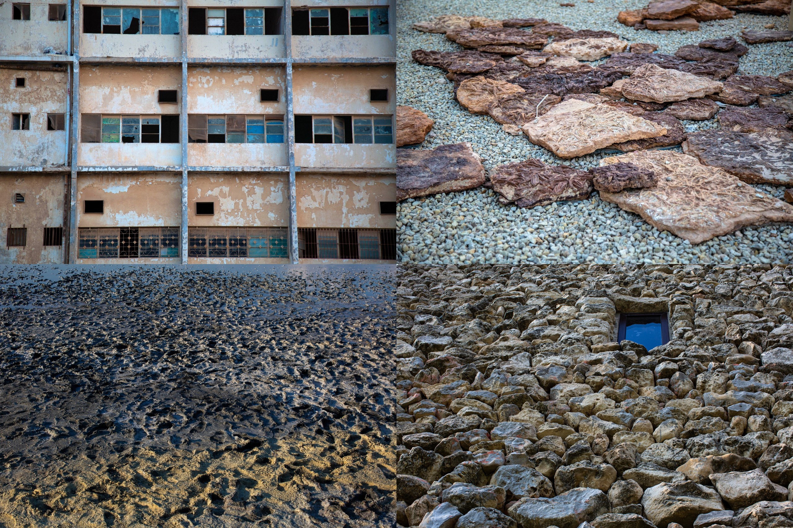 Зоя Альшаравнех