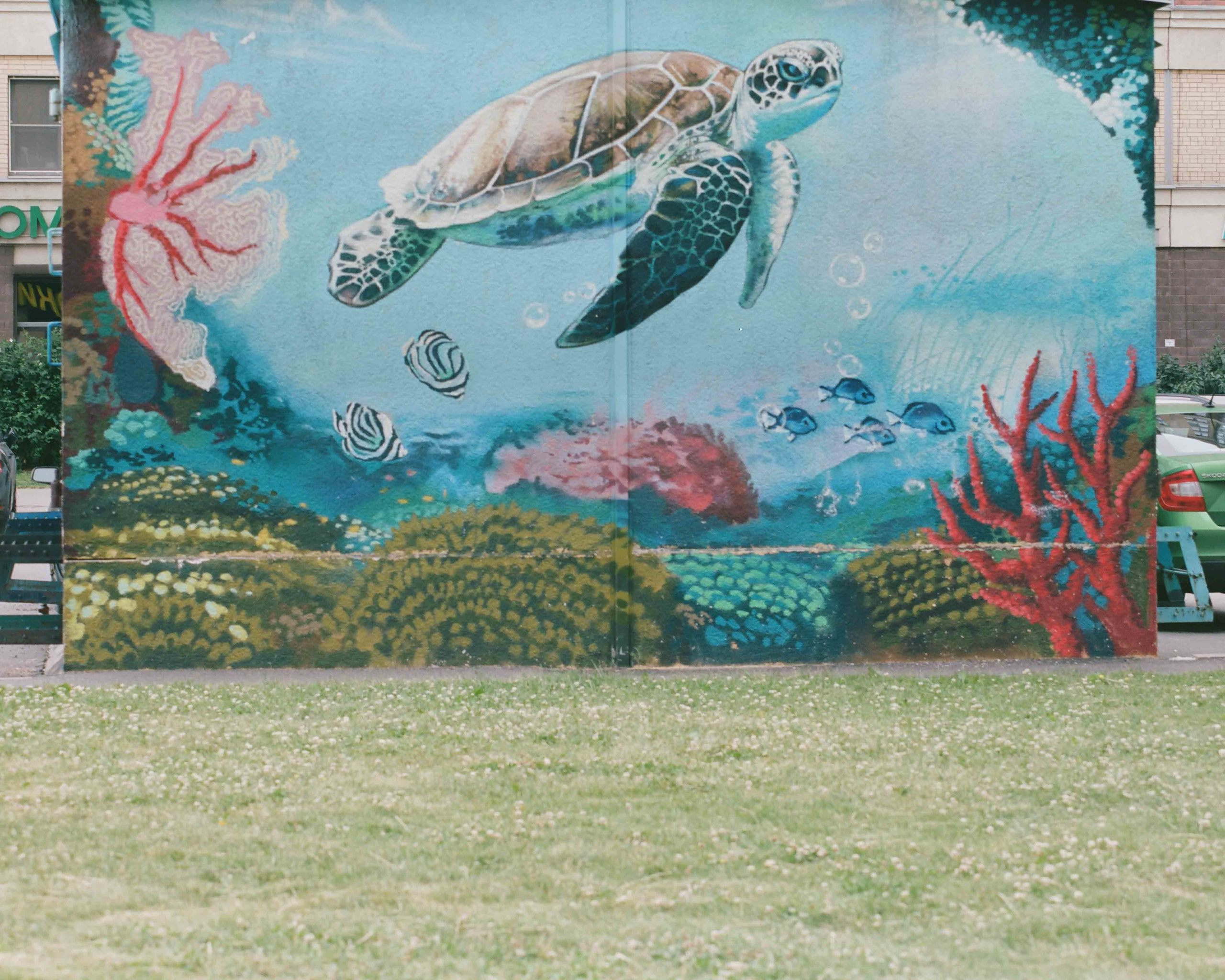 Юлия Павлова