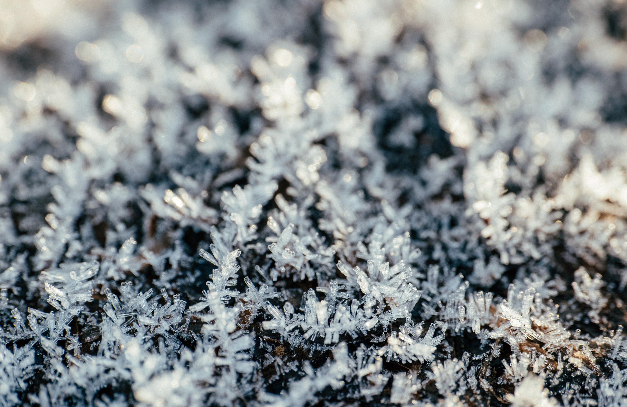 КАРЕЛИЯ / ОСЕНЬ. Создание контента | Фото | Видеосъемка | Александр Ярков