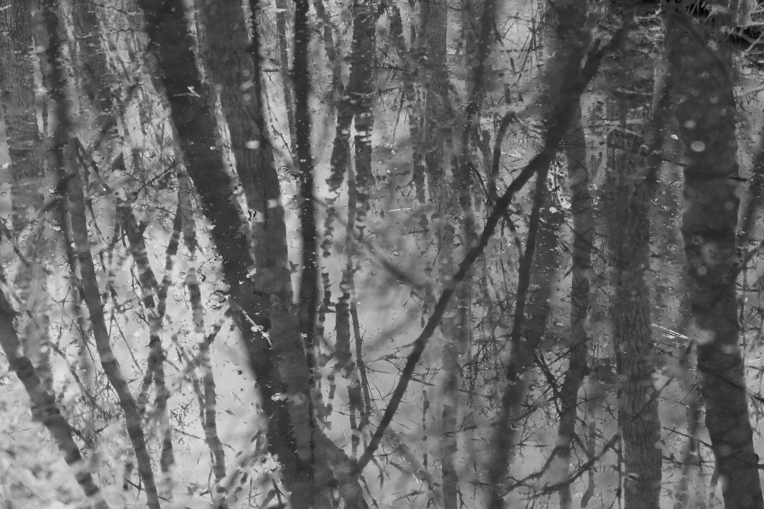 Art prints. Фотограф алина стерхова, алина стерхова фотограф, фотограф москва