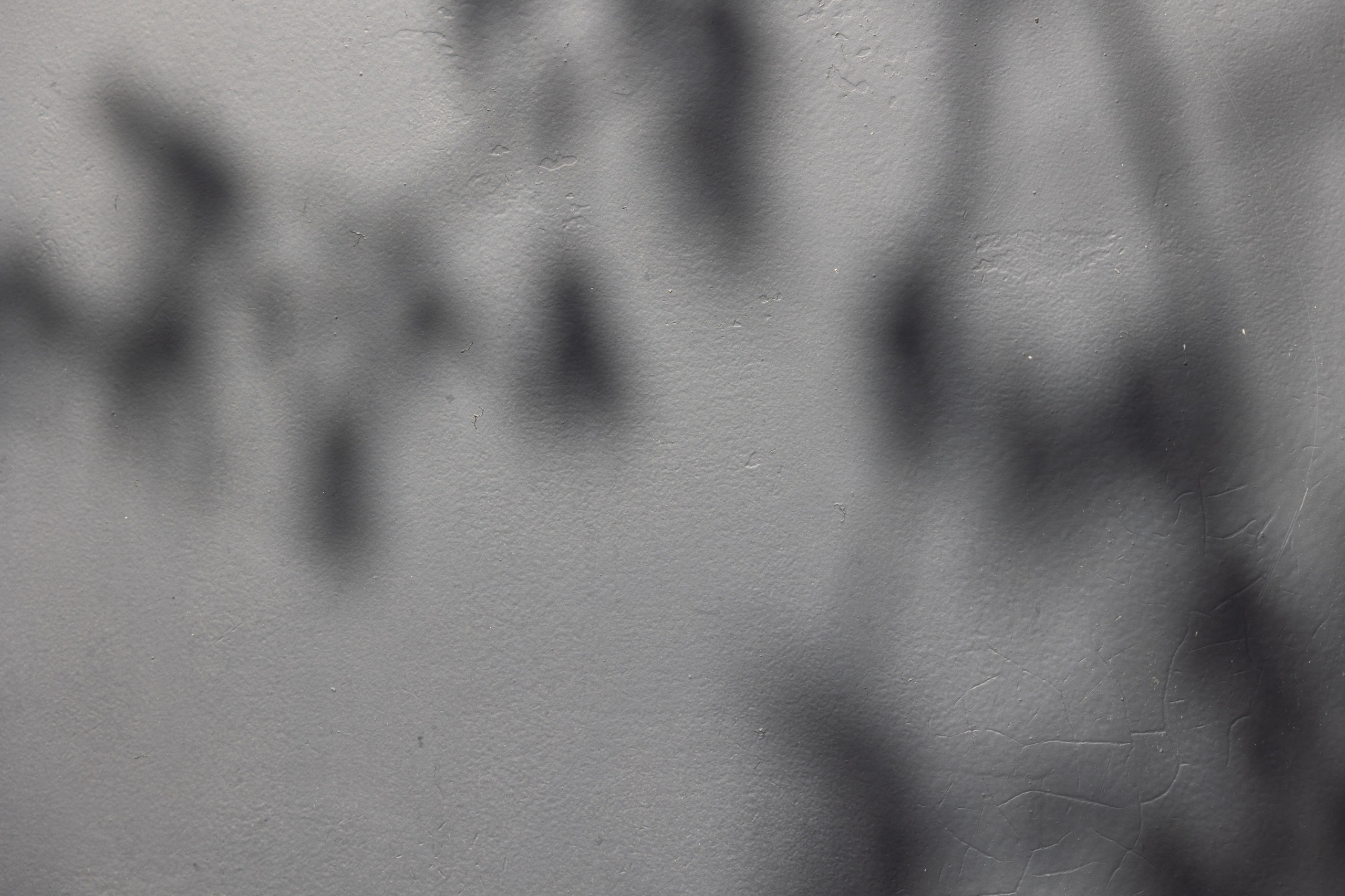 Art prints. Фотограф алина стерхова, алина стерхова фотограф, фотограф москва