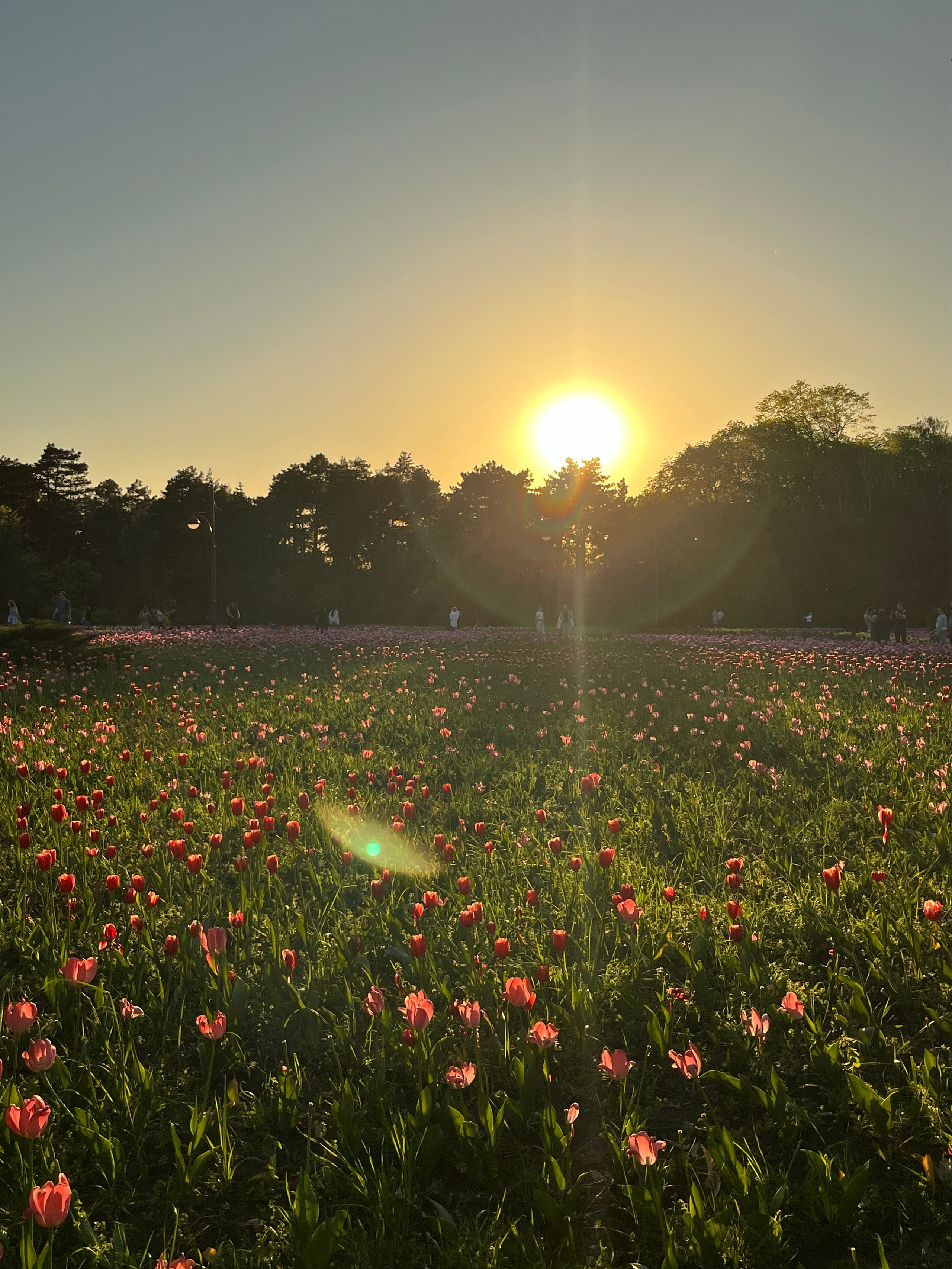 КРАСНОДАР. Портретный и лавстори фотограф в Стерлитамаке Альбина Шарт
