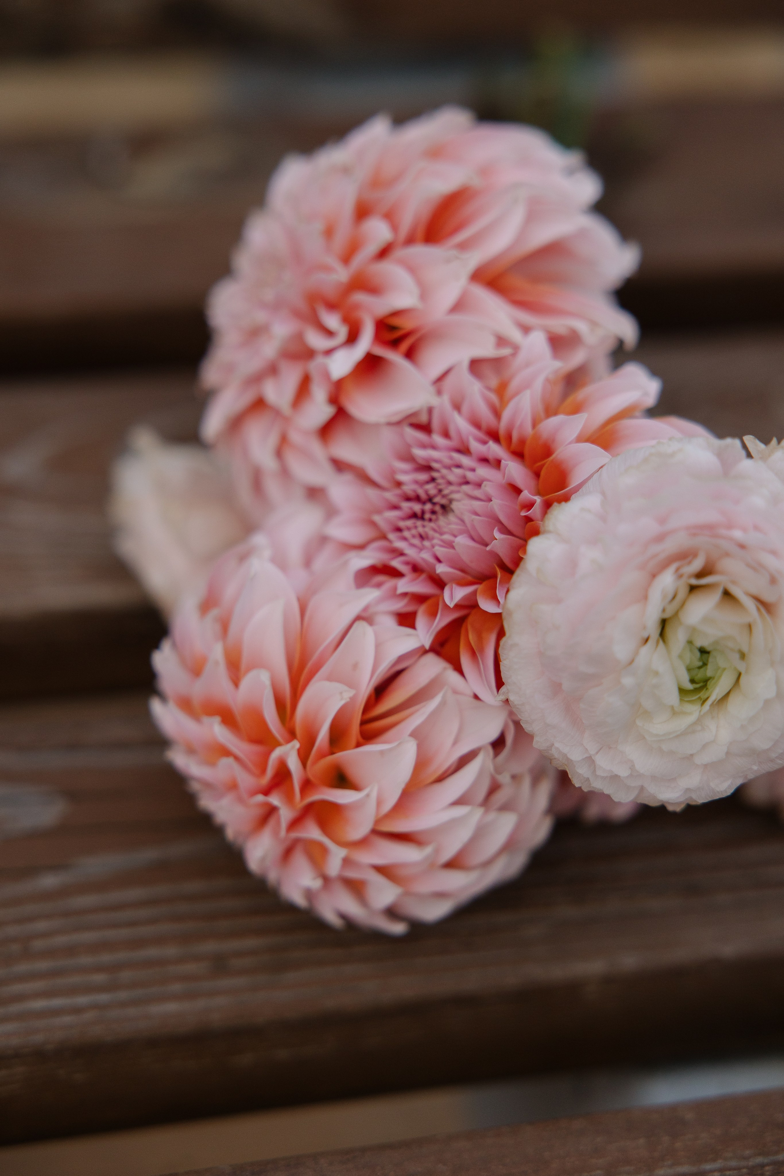 Егорь и Таня. Свадебный и семейный фотограф в Набережных Челнах и Казани