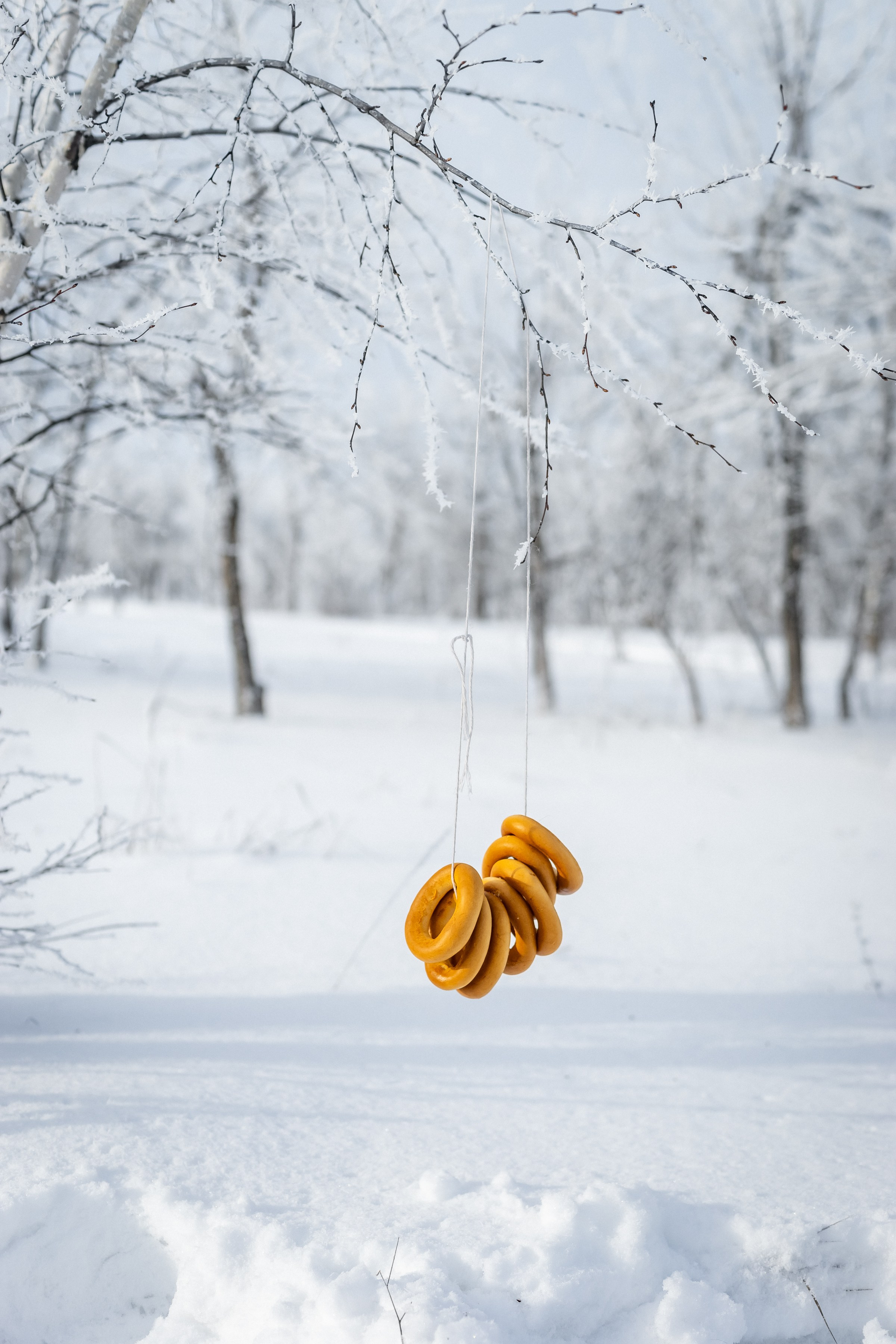 Зимняя в русском народном стиле. Ольга Плаксина фотограф в Саратове