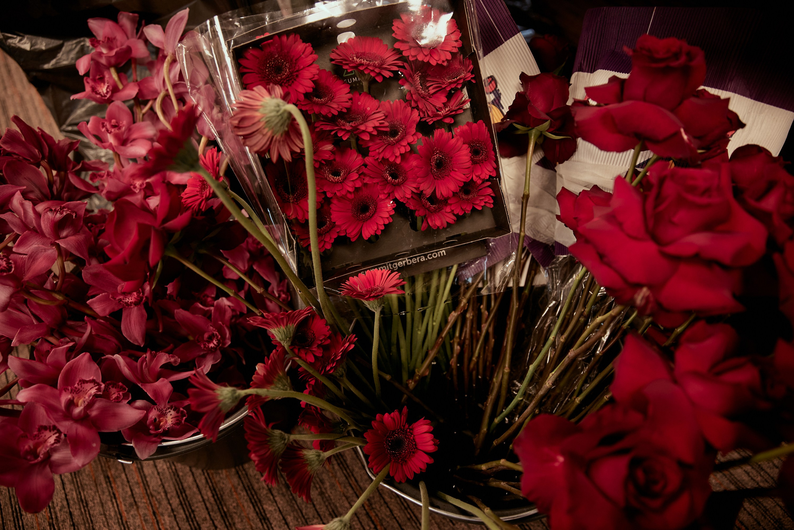 BUNTER GROUP. Дмитрий Мазуркевич: Профессиональный Репортажный Фотограф