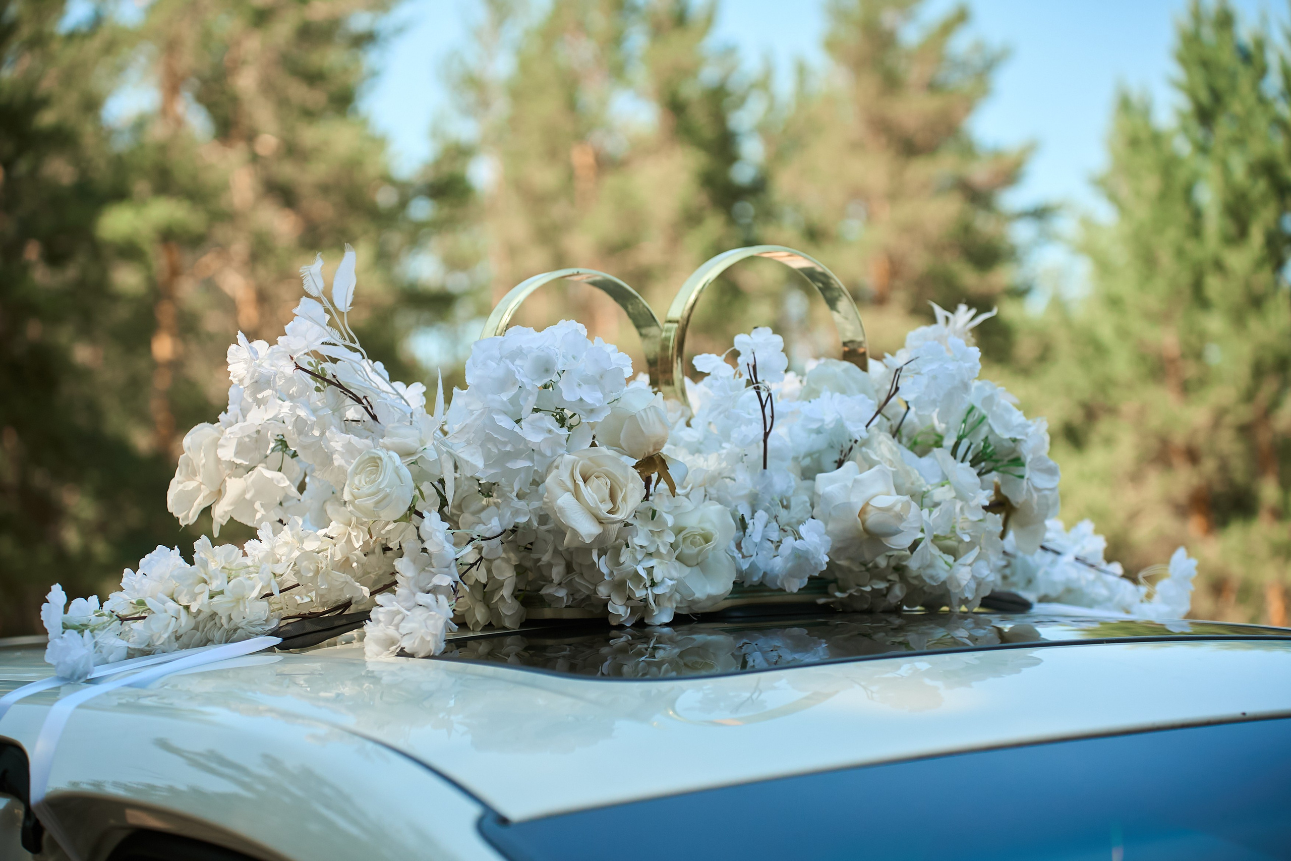 Дарина и Юрий. Главная