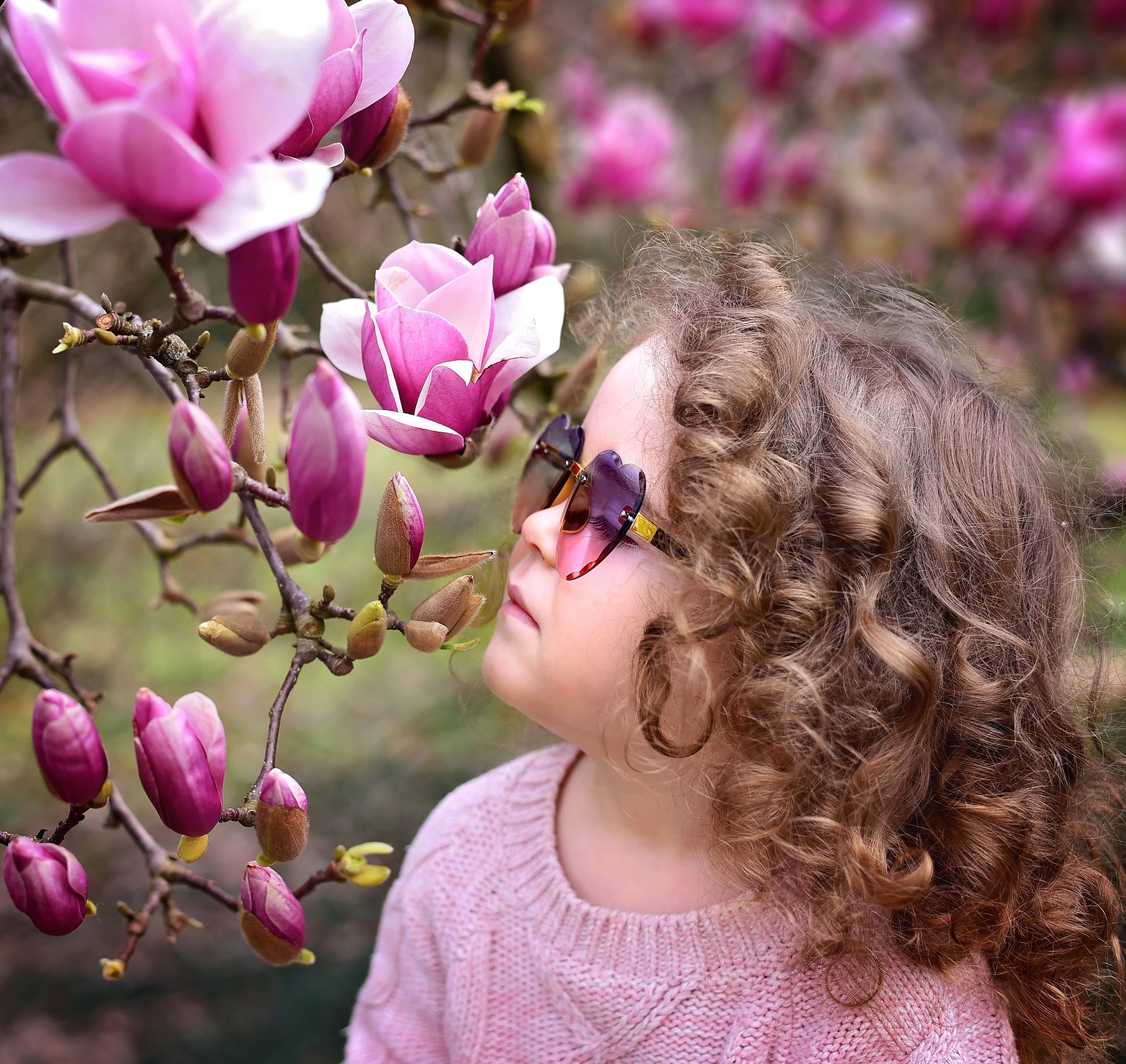 Магнолия. Главная