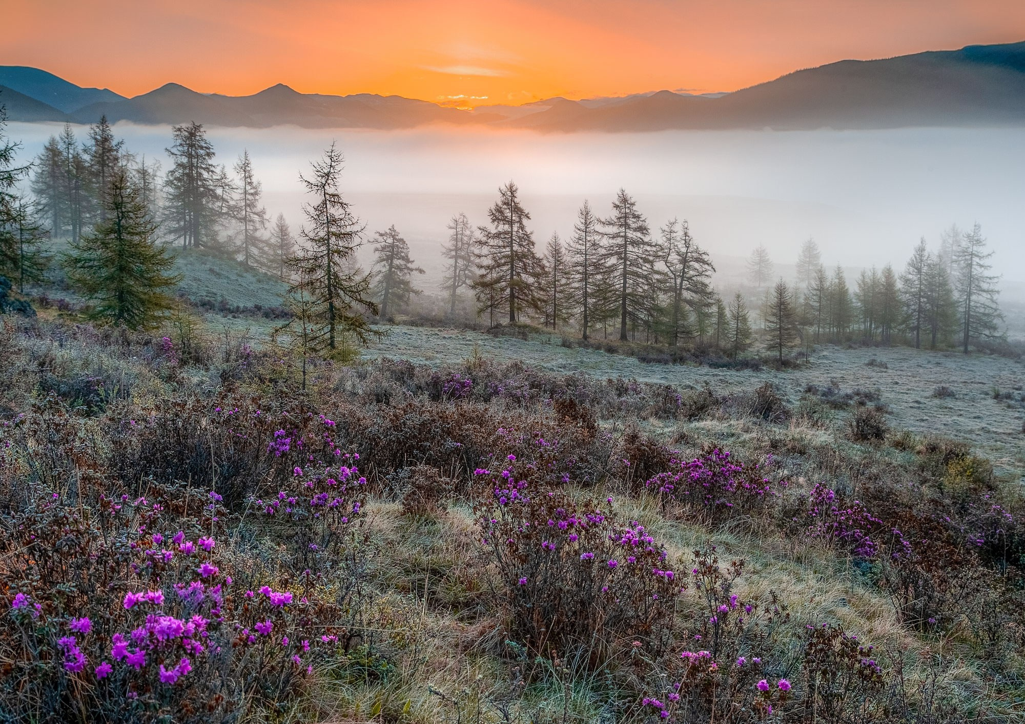 Свадебный фотограф в Геленджике