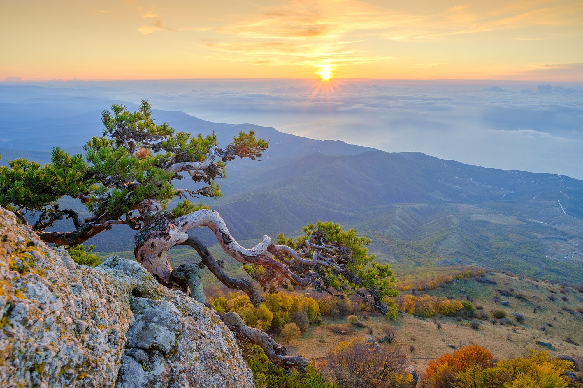 фотограф в Геленджике