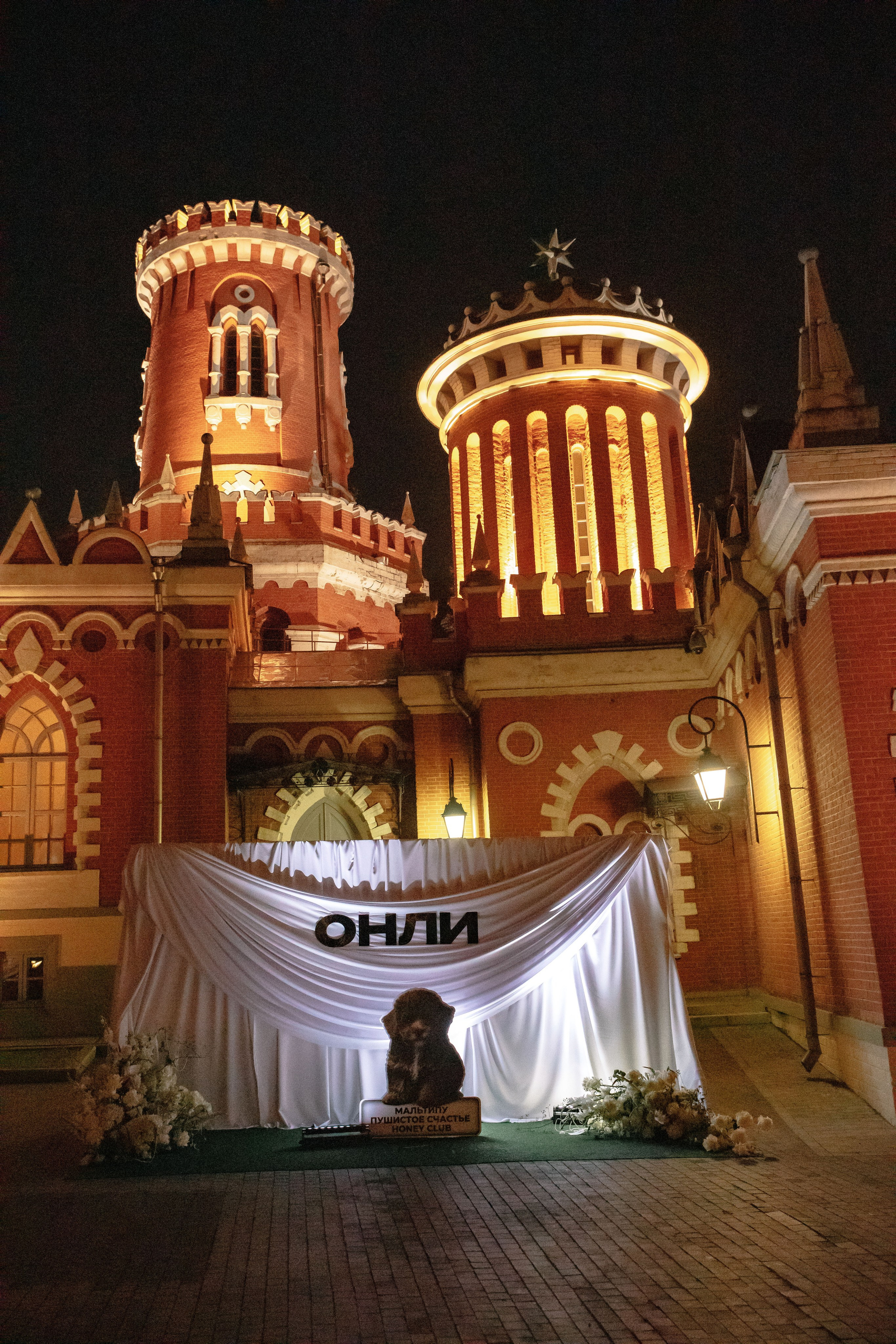 AESTHETIC ONLY в Петровском путевом дворце. Фотограф в Москве Яна Полосина