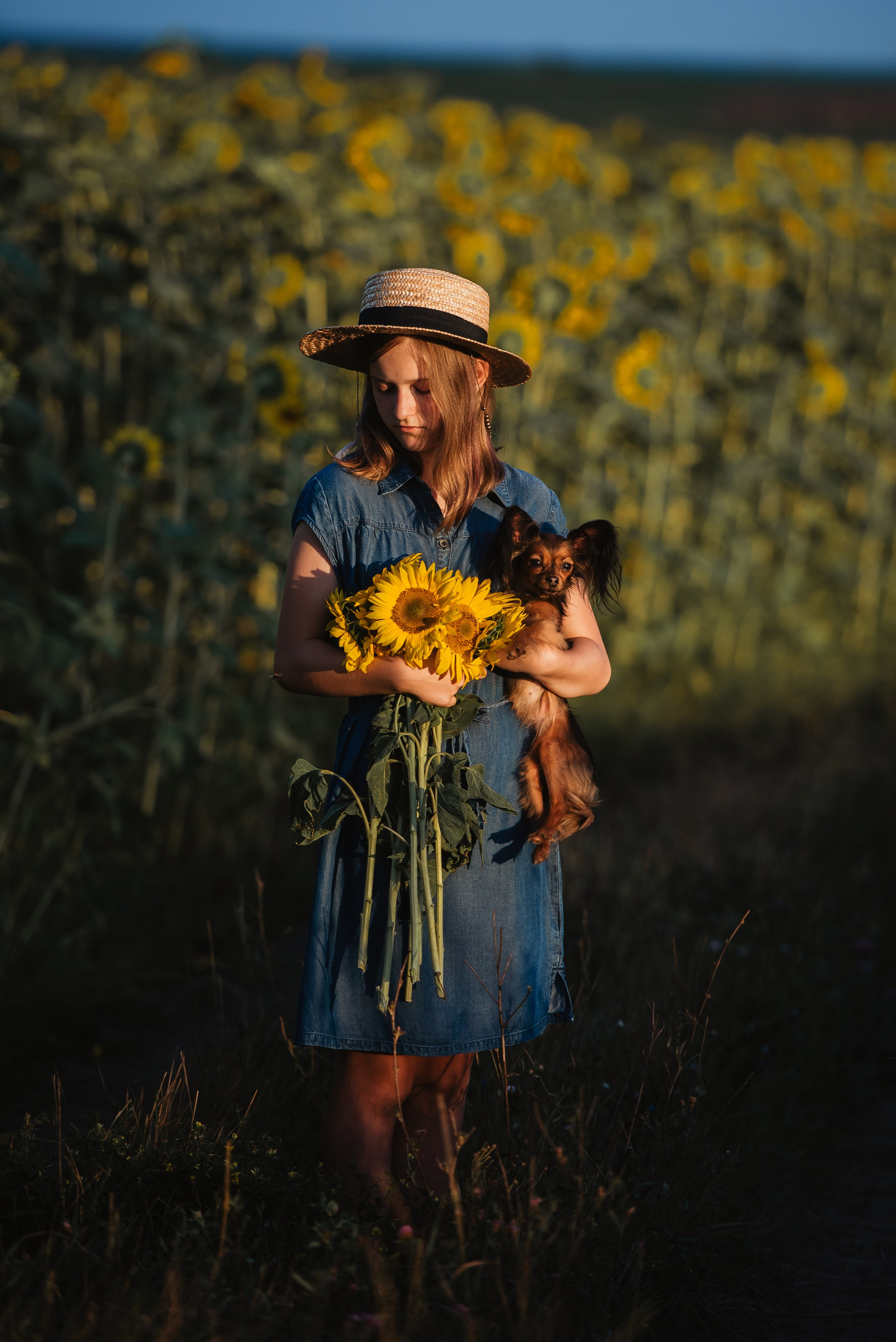 Прогулка в подсолнухах. Семейный Фотограф в Москве Ирина Хохлова