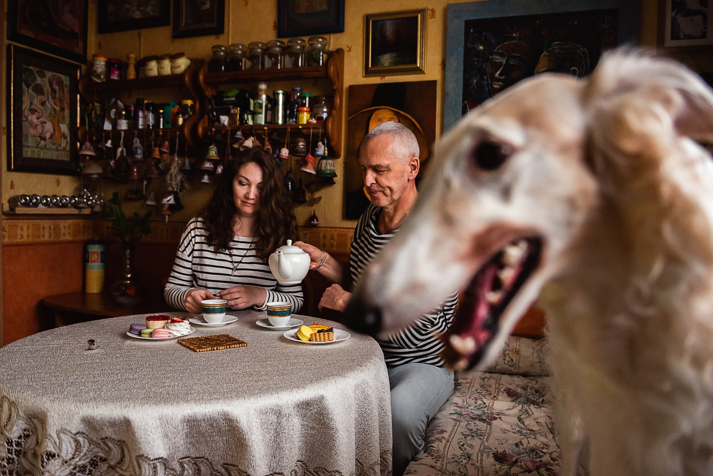 Квартира с картинами. Алиса, Андрей и их пушистая семья. Семейный Фотограф в Москве Ирина Хохлова