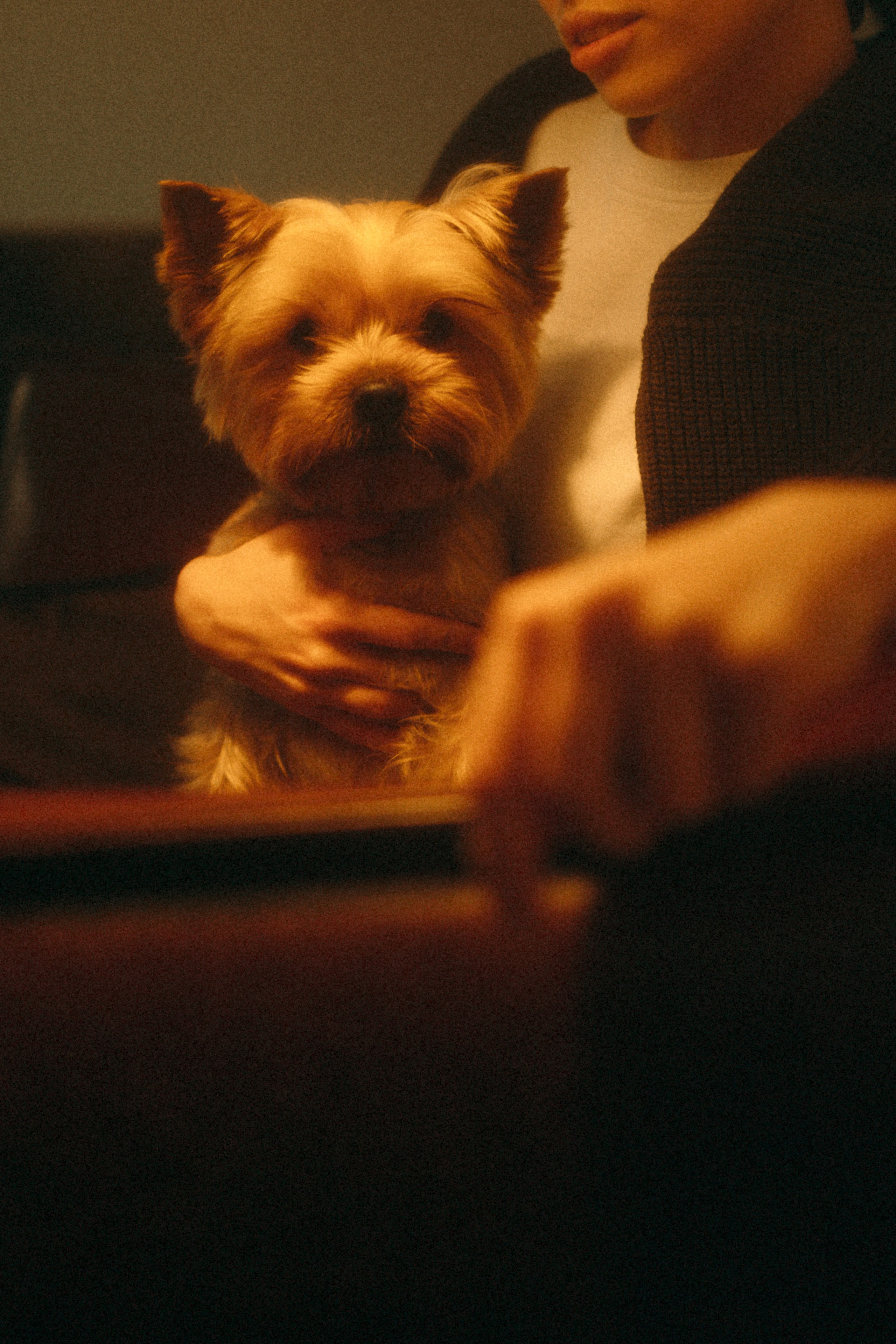 Ричард и Ксюша. Фотограф анималист Анастасия Пикей