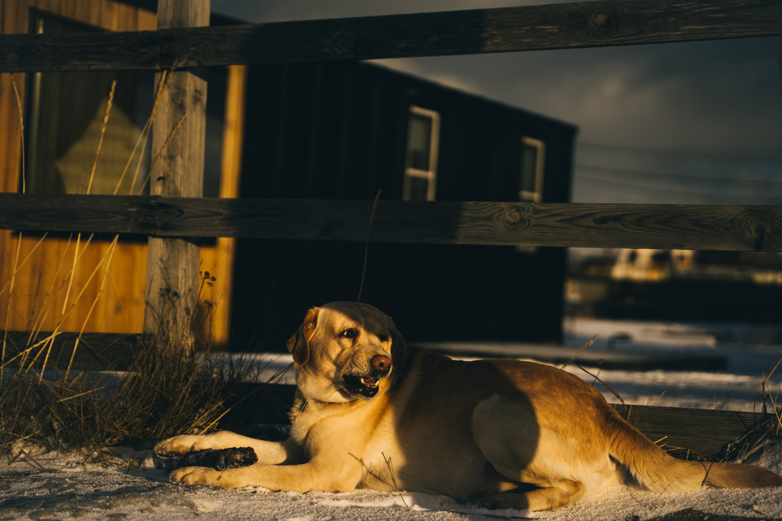 Териберка. Семейный фотограф в Санкт-Петербурге