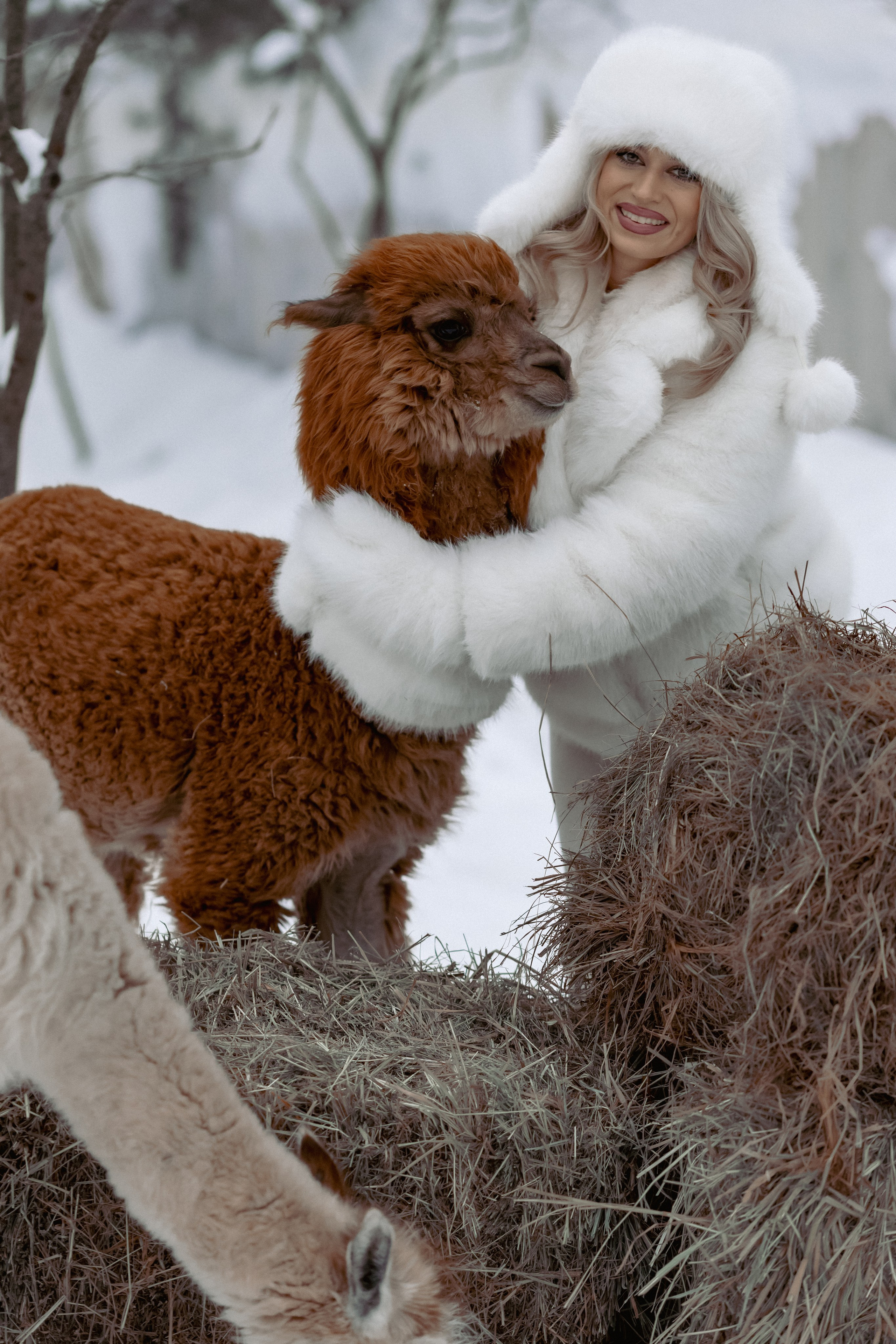 Алина. Детский и семейный фотограф Евгения Вахнеева Москва Зеленоград