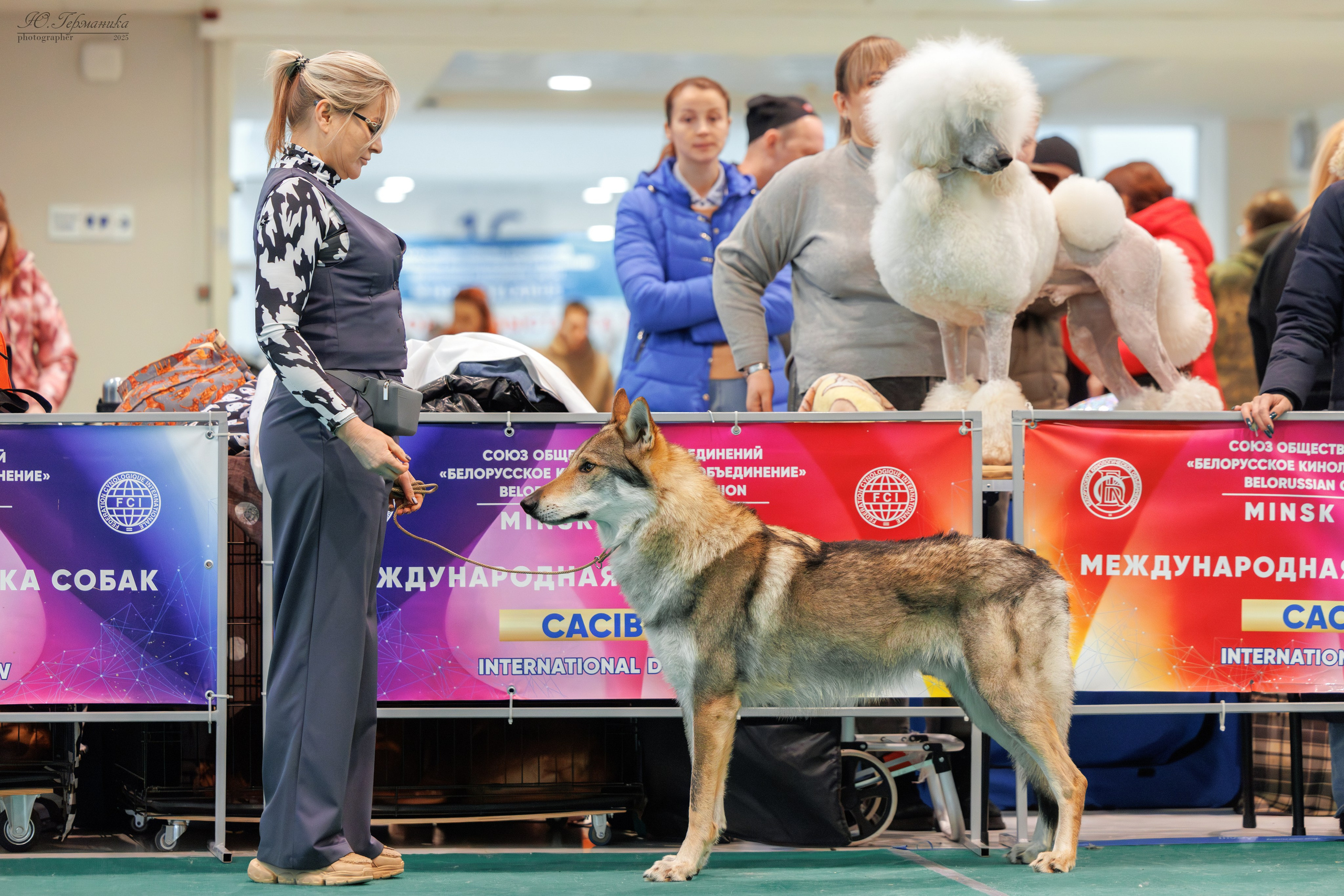 Минск 1-2.03.2025. Фотограф-анималист Юлия Германика