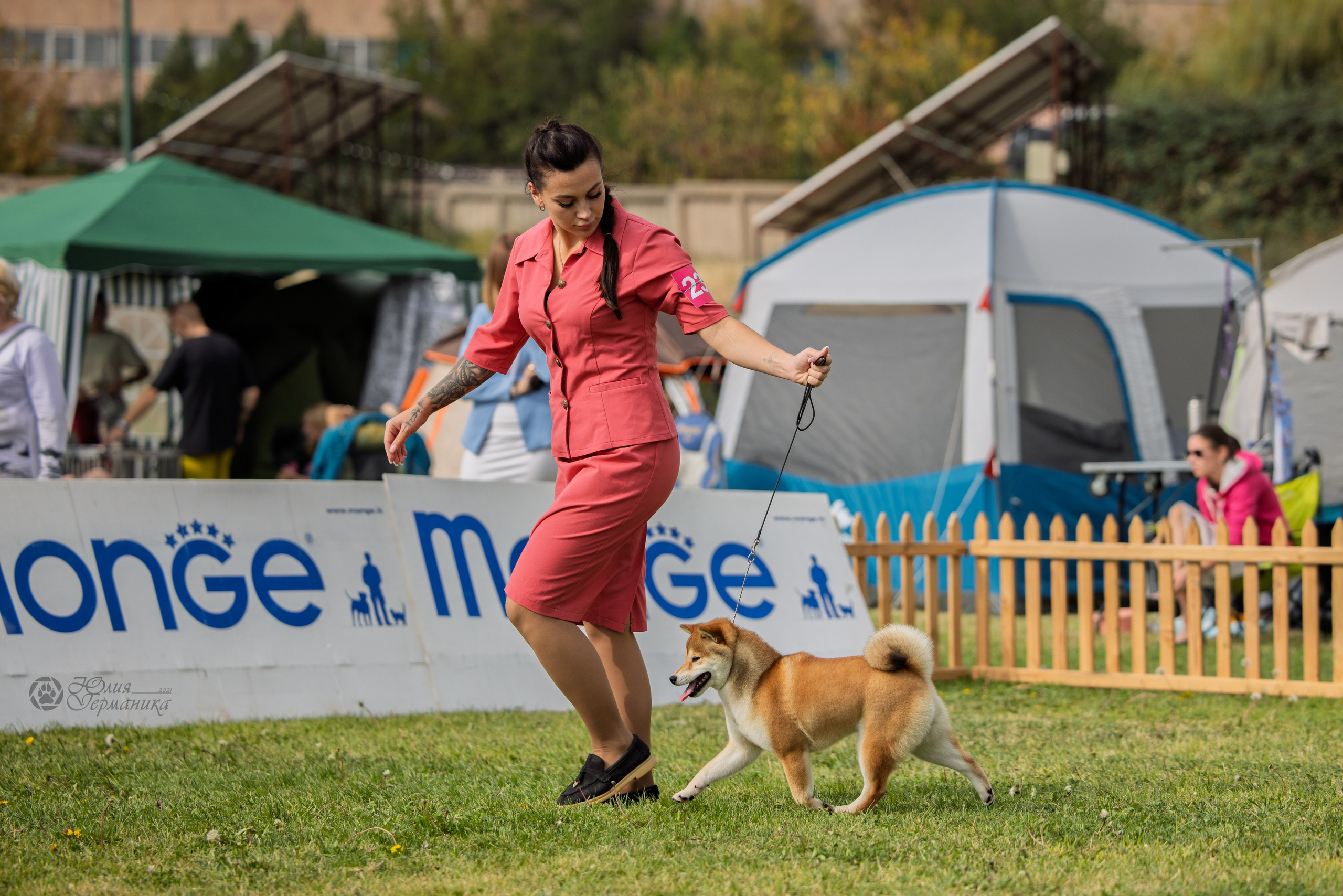 Армения,Ереван 3хCACIB 15-17.10.2024. Фотограф-анималист Юлия Германика