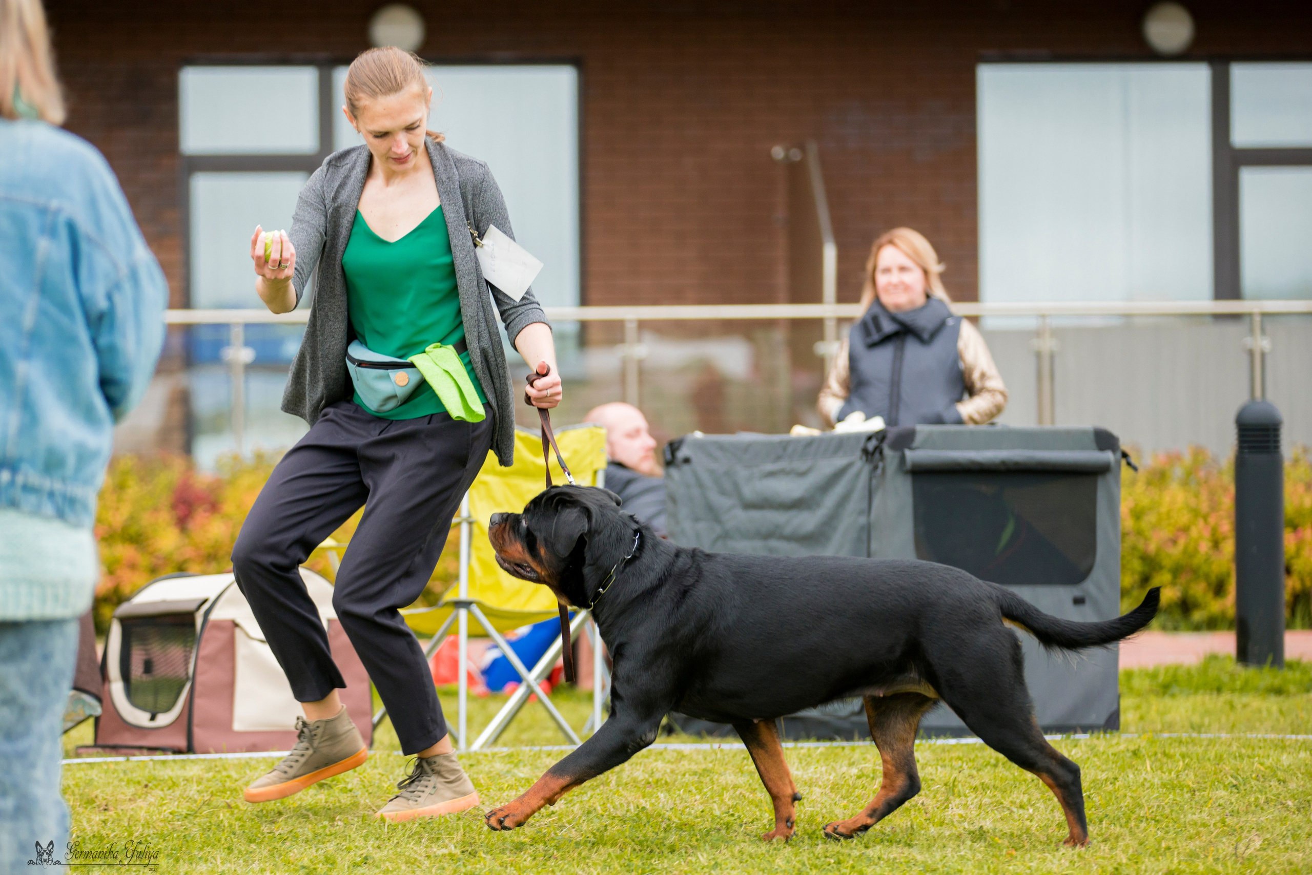 Переславль 9-10.09.2023. Фотограф-анималист Юлия Германика