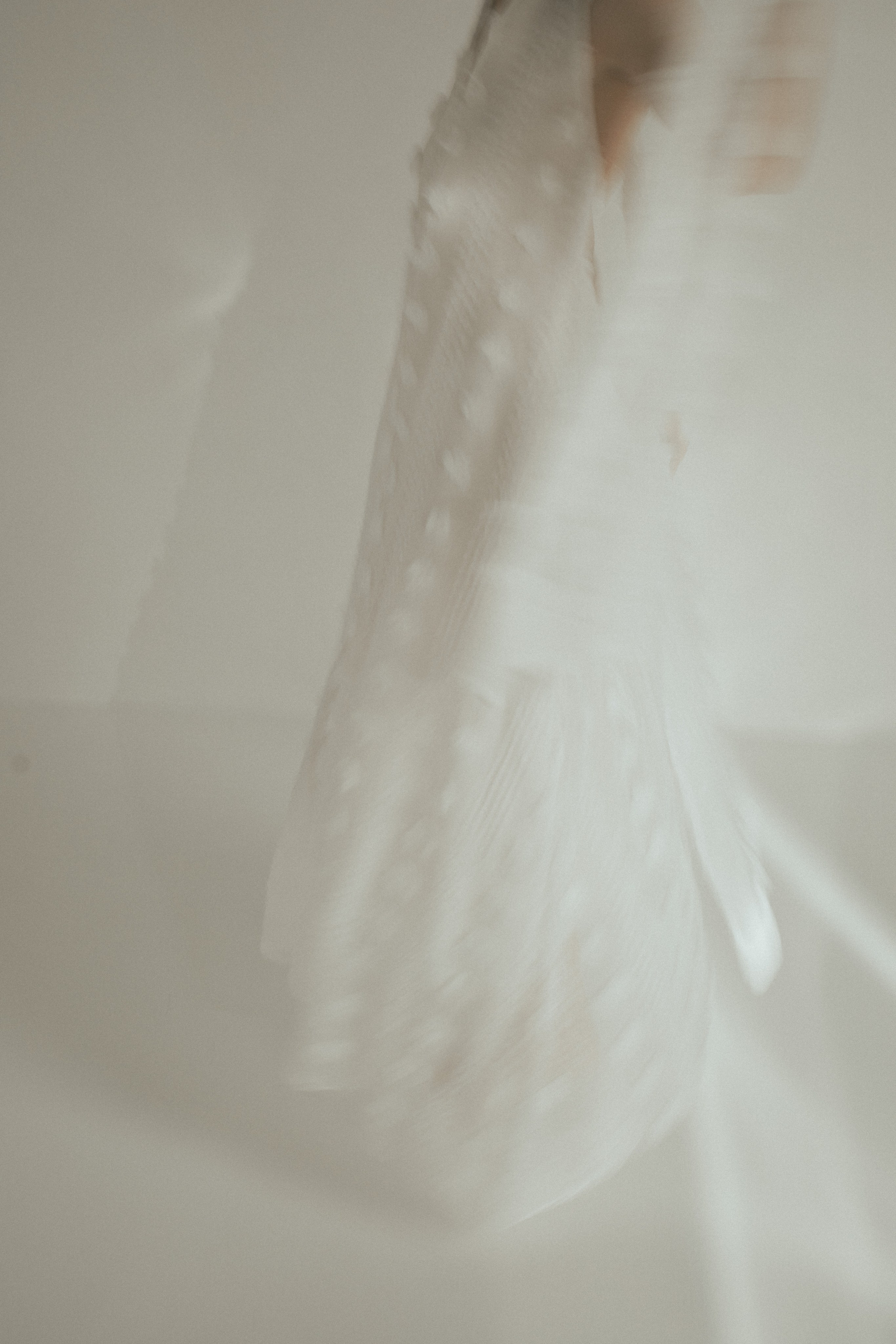 Арина. Портретный фотограф