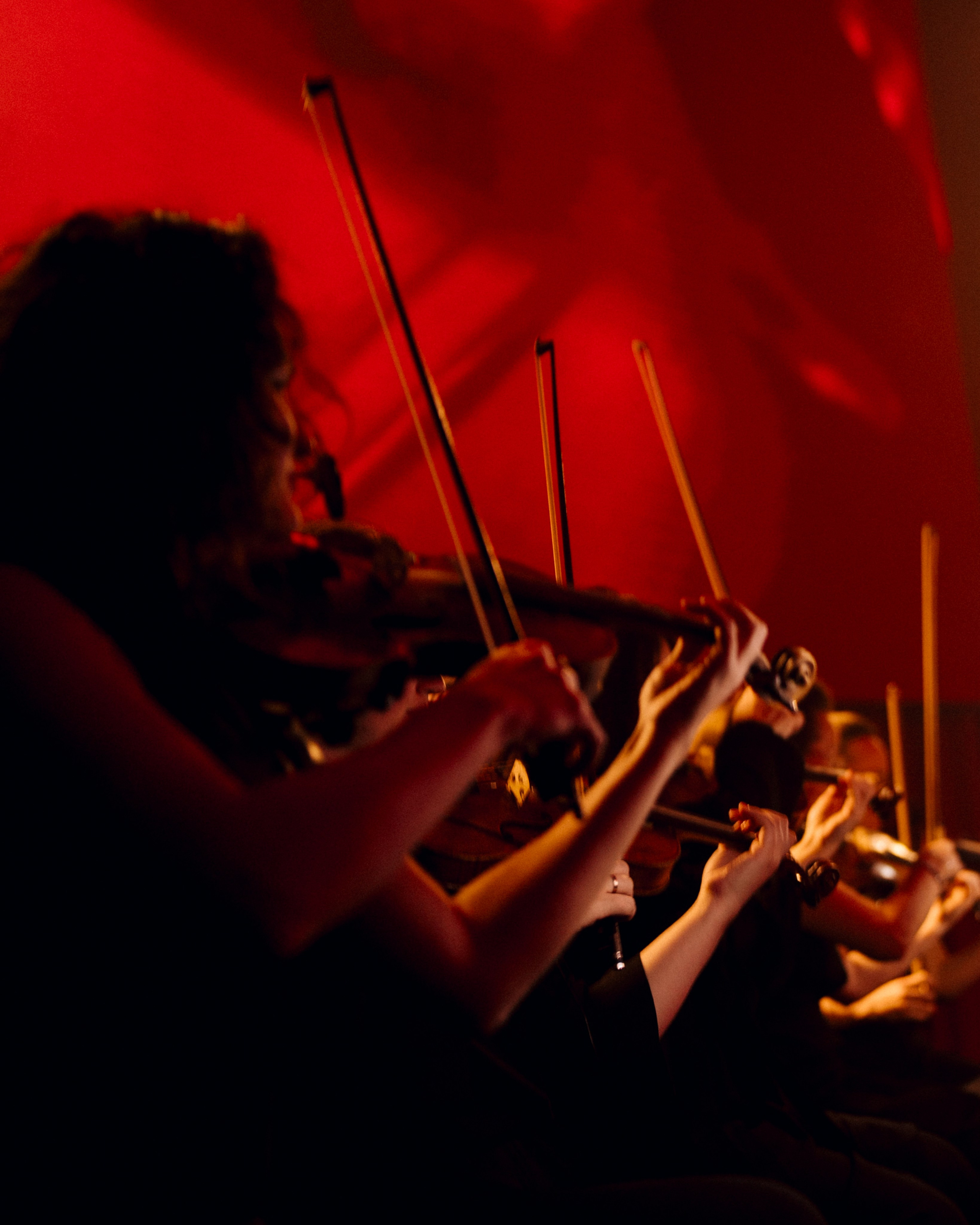 Концерт «ТИТРЫ»: Рита Ричи и оркестр Ильи Филиппова 15.02.25. Свадебный фотограф в Краснодаре и Сочи Винидиктова Екатерина