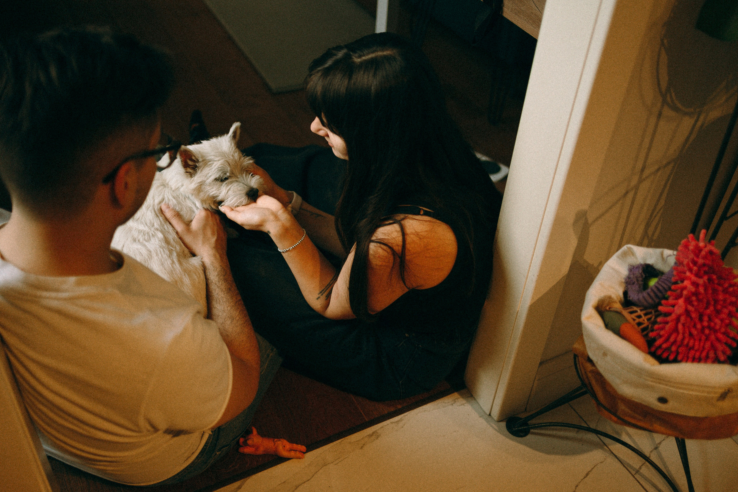 Снежуля, Мари и Саша. Фотограф анималист Анастасия Пикей