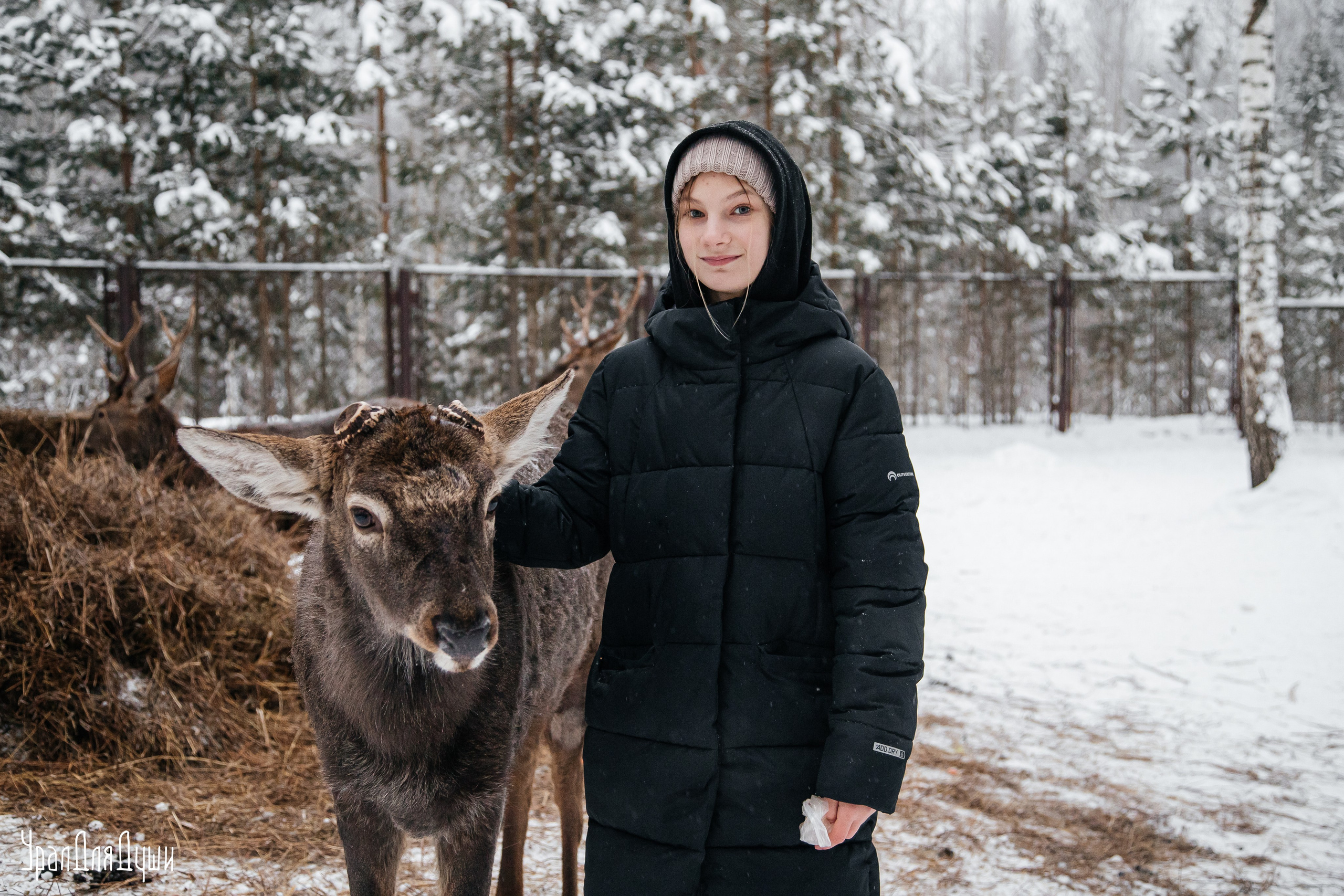 В гостях у Бемби и голубоглазых хаски. Репортажный фотограф с душой путешественника