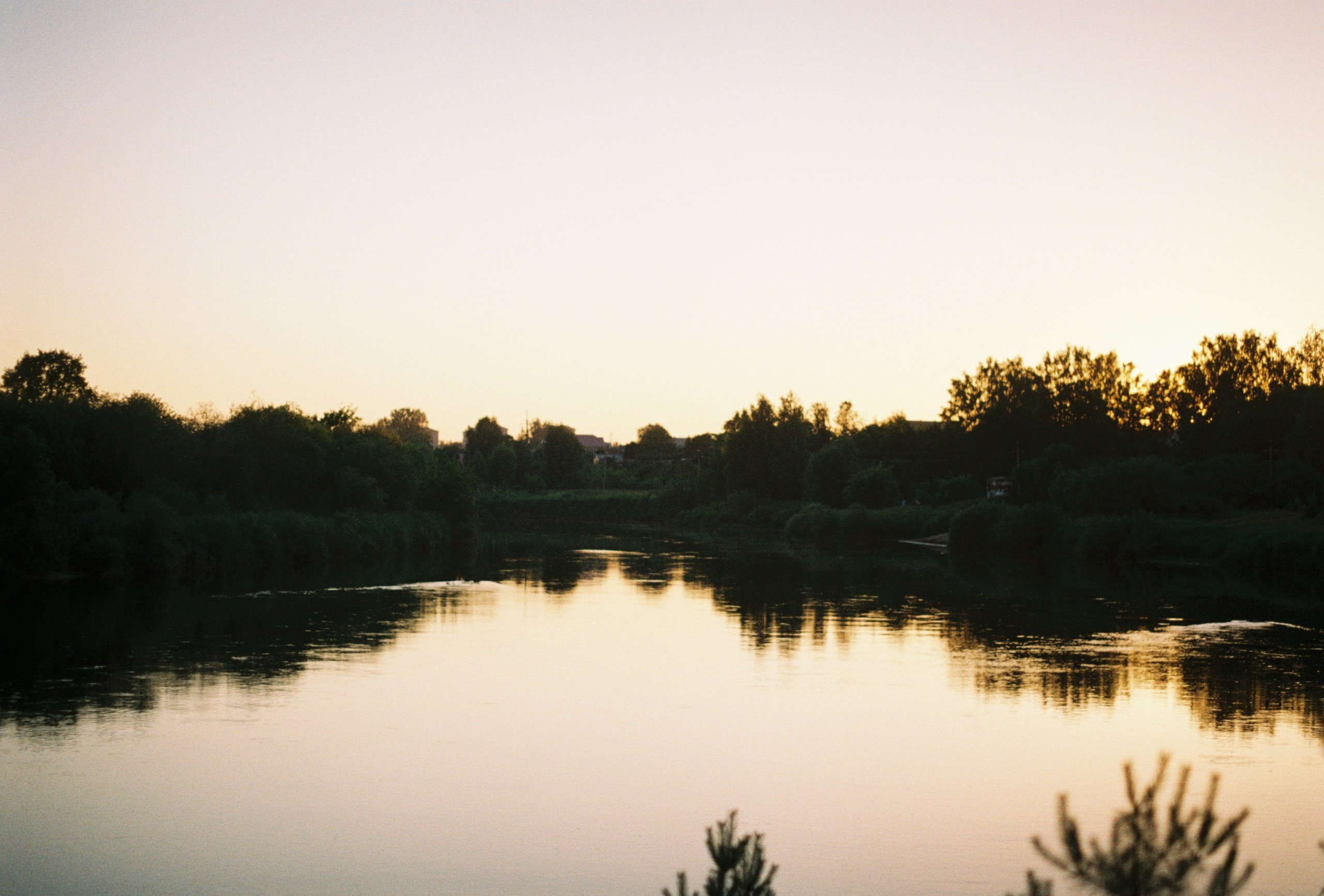 Rotten Rice Meet 2022 / 1. Автомобильный фотограф в Москве Дмитрий Глазков