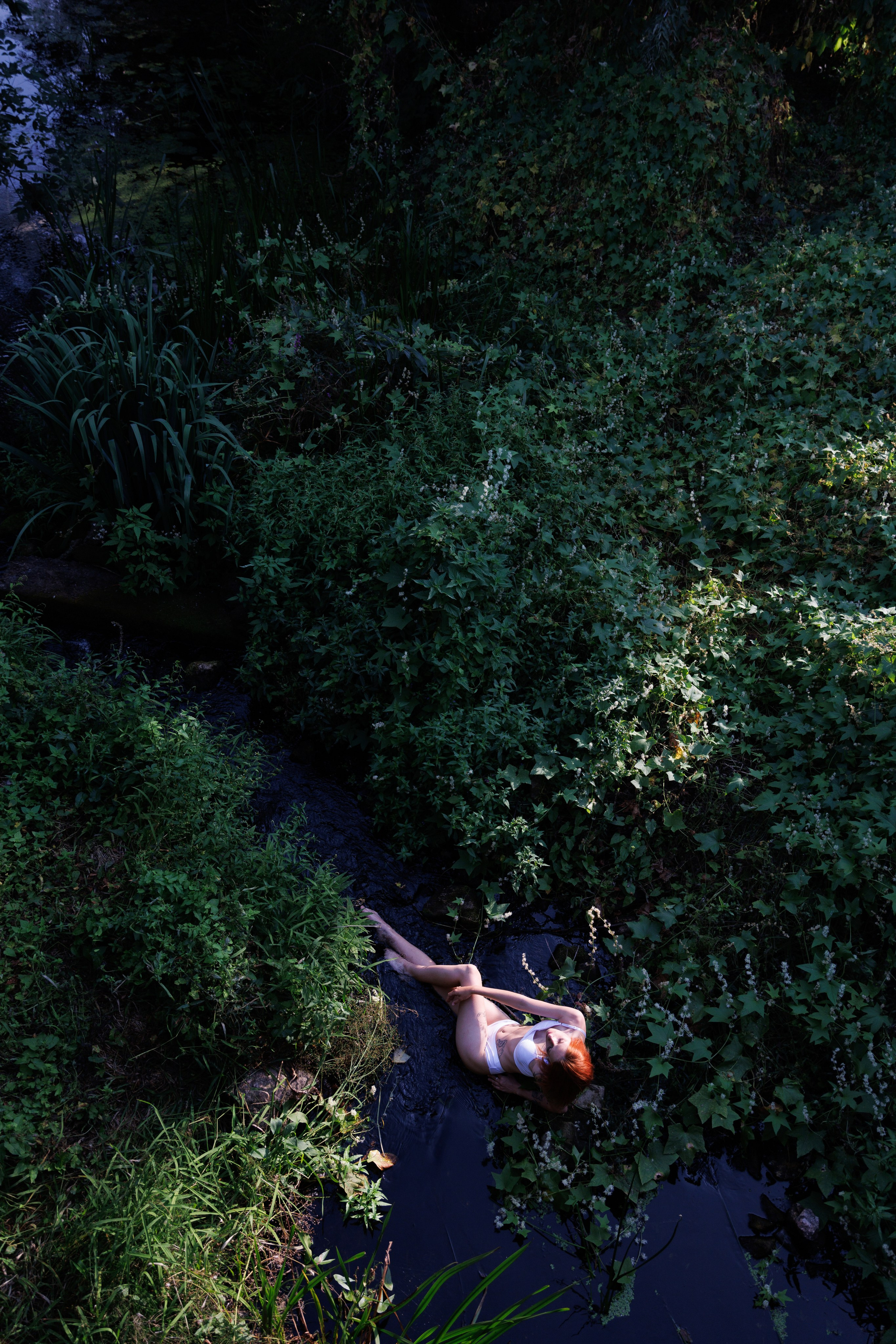 Ксения. Свадебный фотограф Оксана Проценко