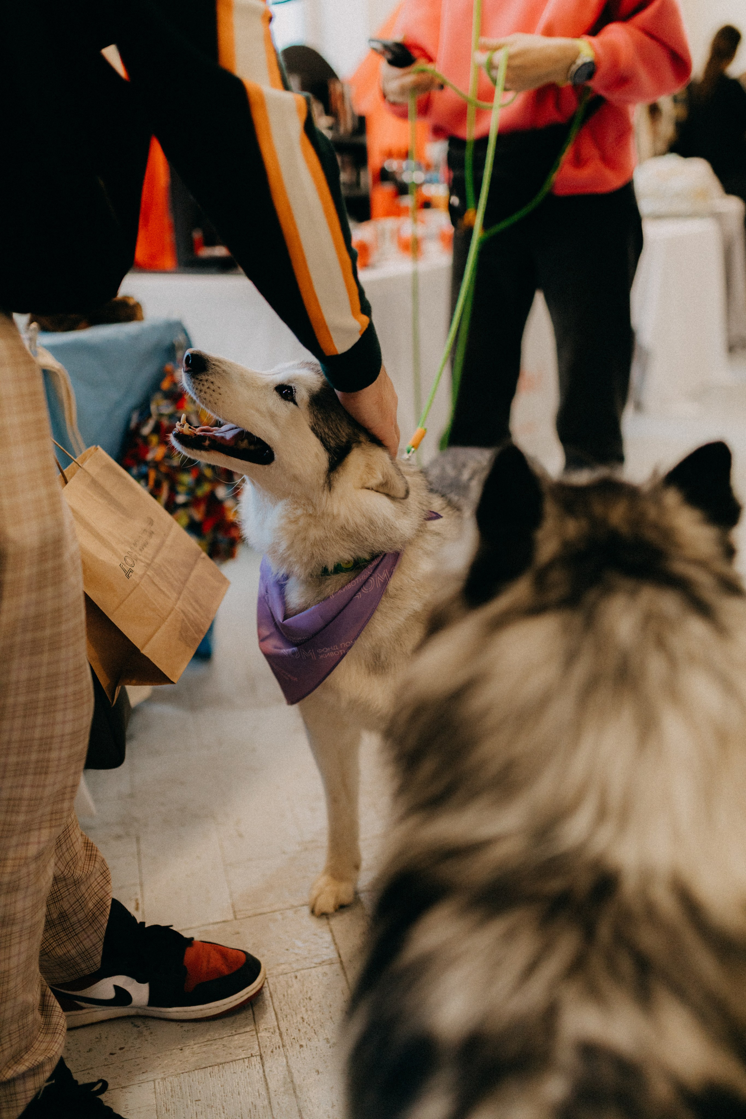 Маркет КИТЧ. Фотограф НОГИНСК, Москва, Анастасия Белая