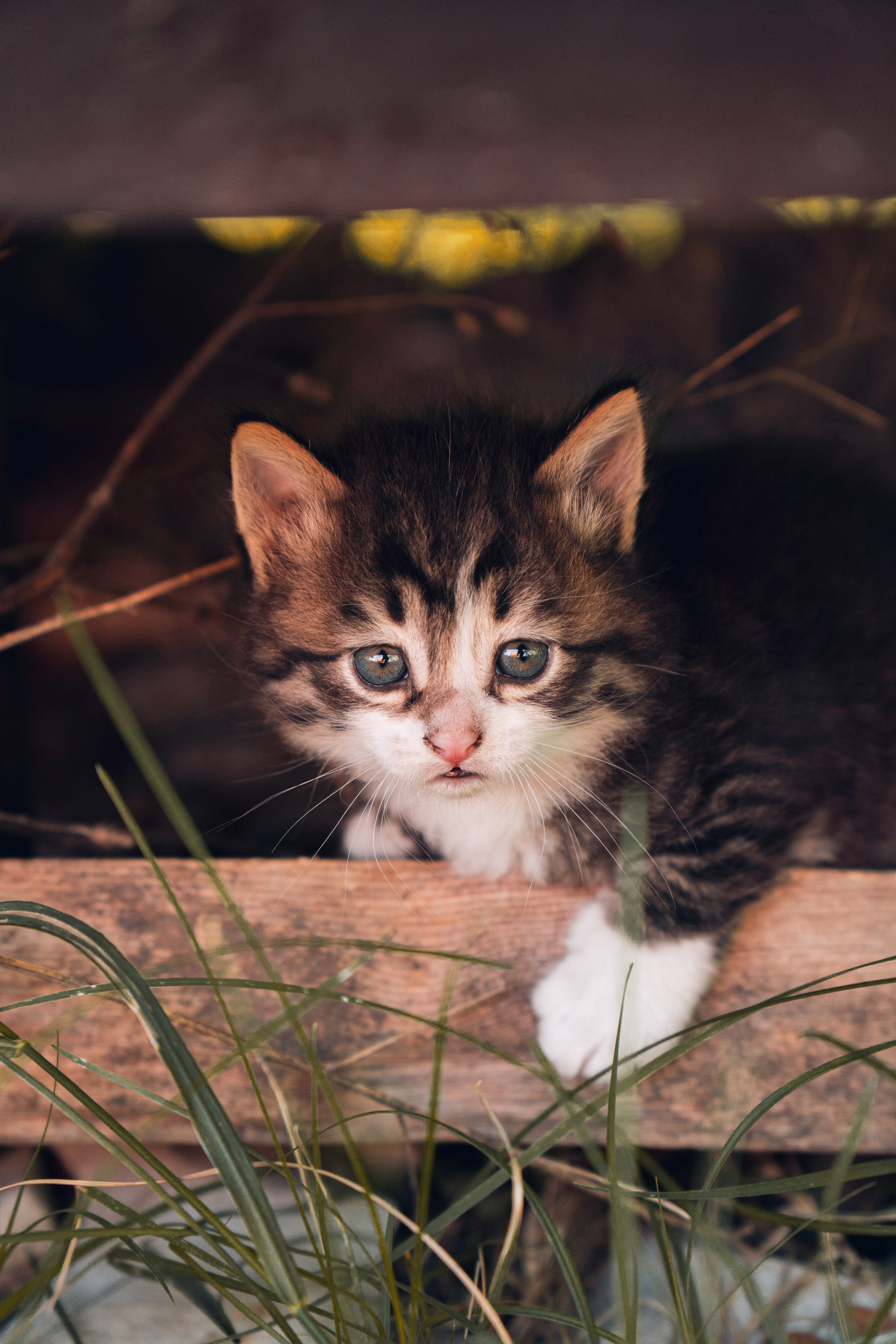 Дагестан. Gusarov Travel Photography