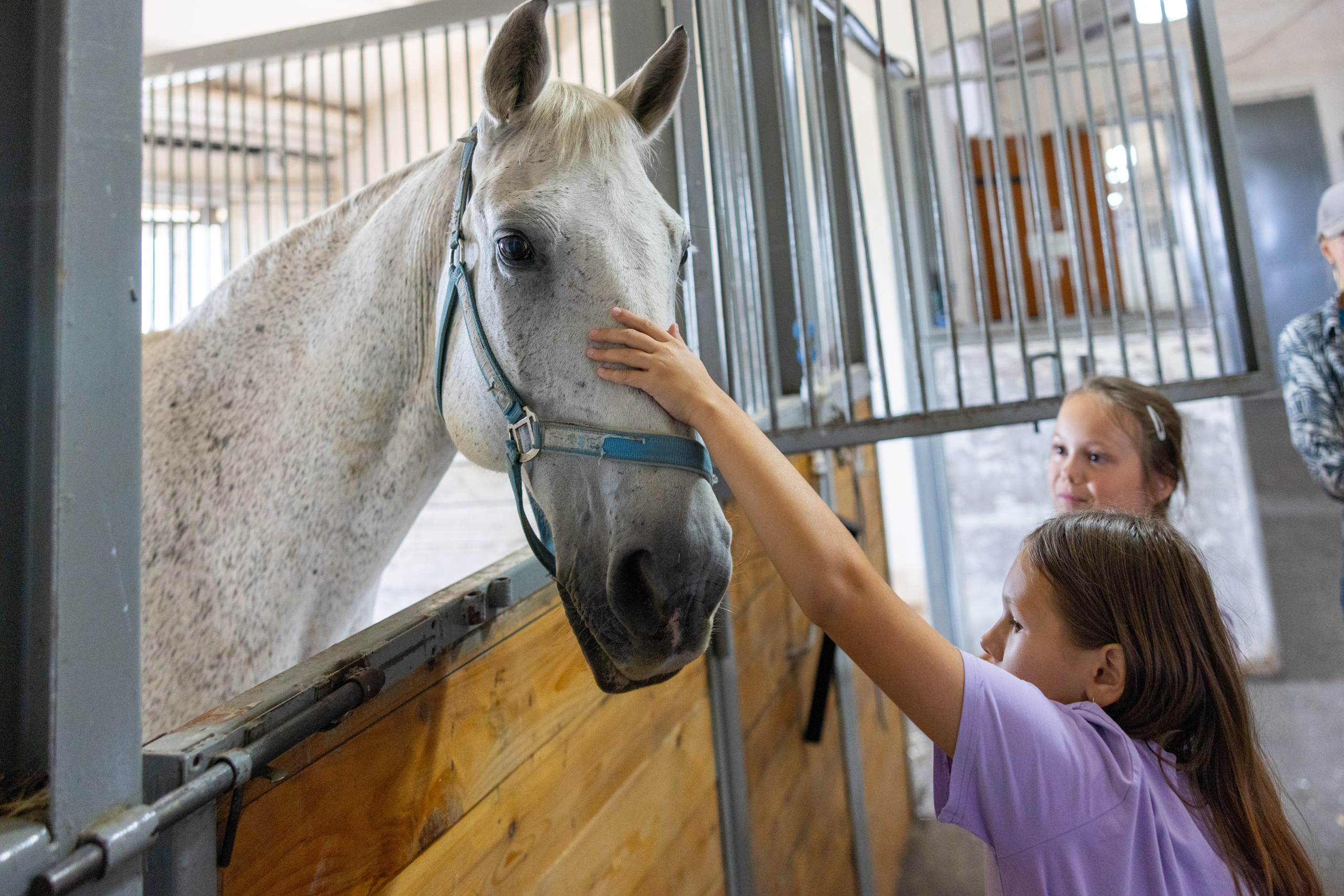Поездка на поле Кулеково. Фотограф в Туле Крупский АнДРей. Фотостудия «КАДР71» в Туле