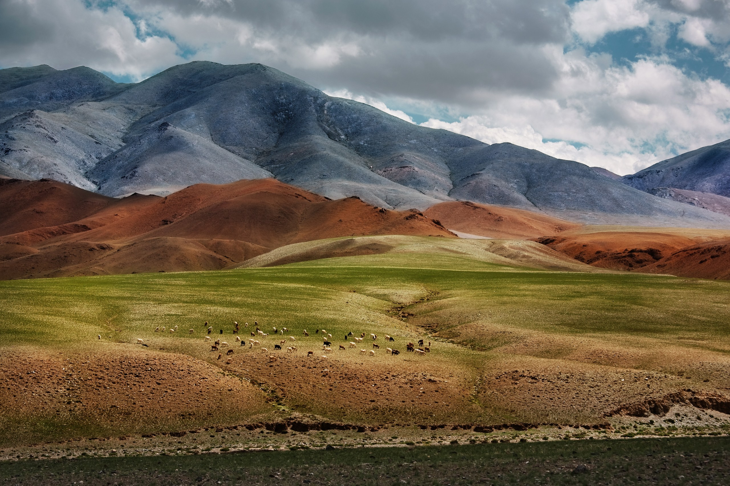 Монголия. Фотограф Владимир Медведев