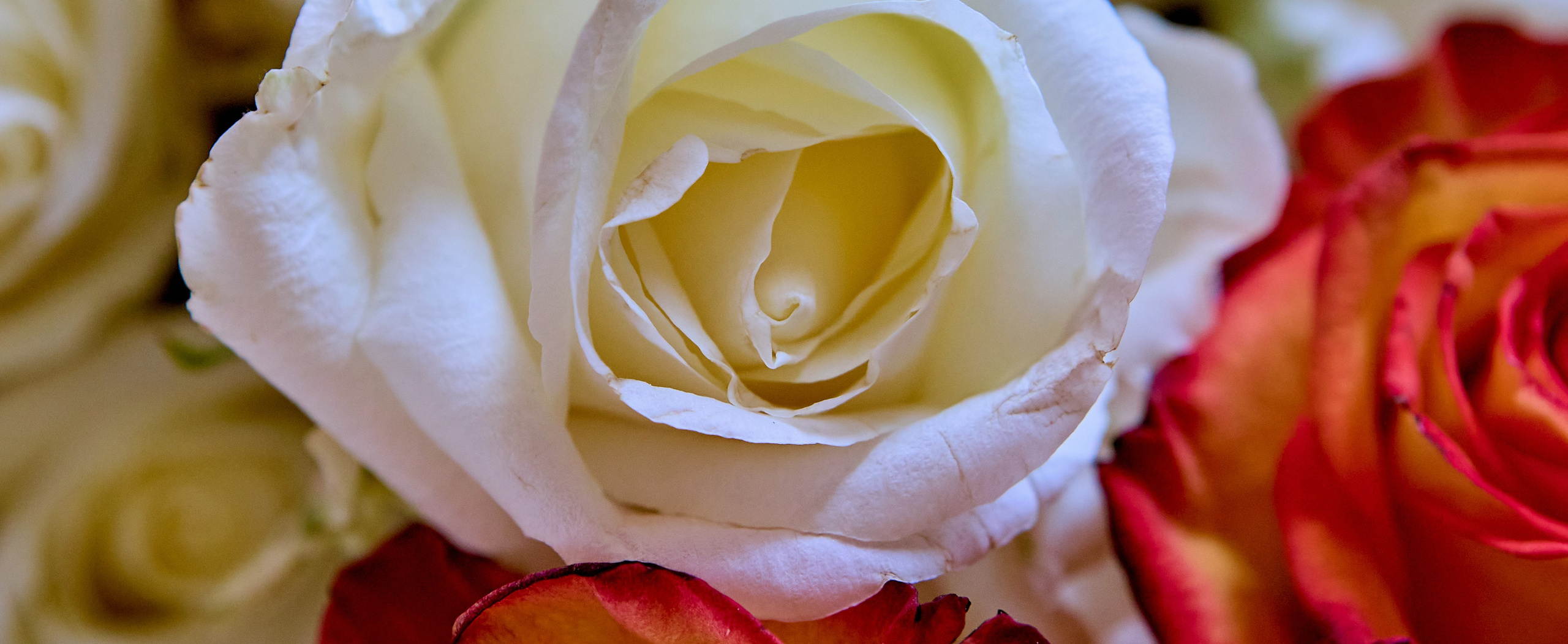 Фотографии Литургии в Праздник Святых Жен Мироносиц