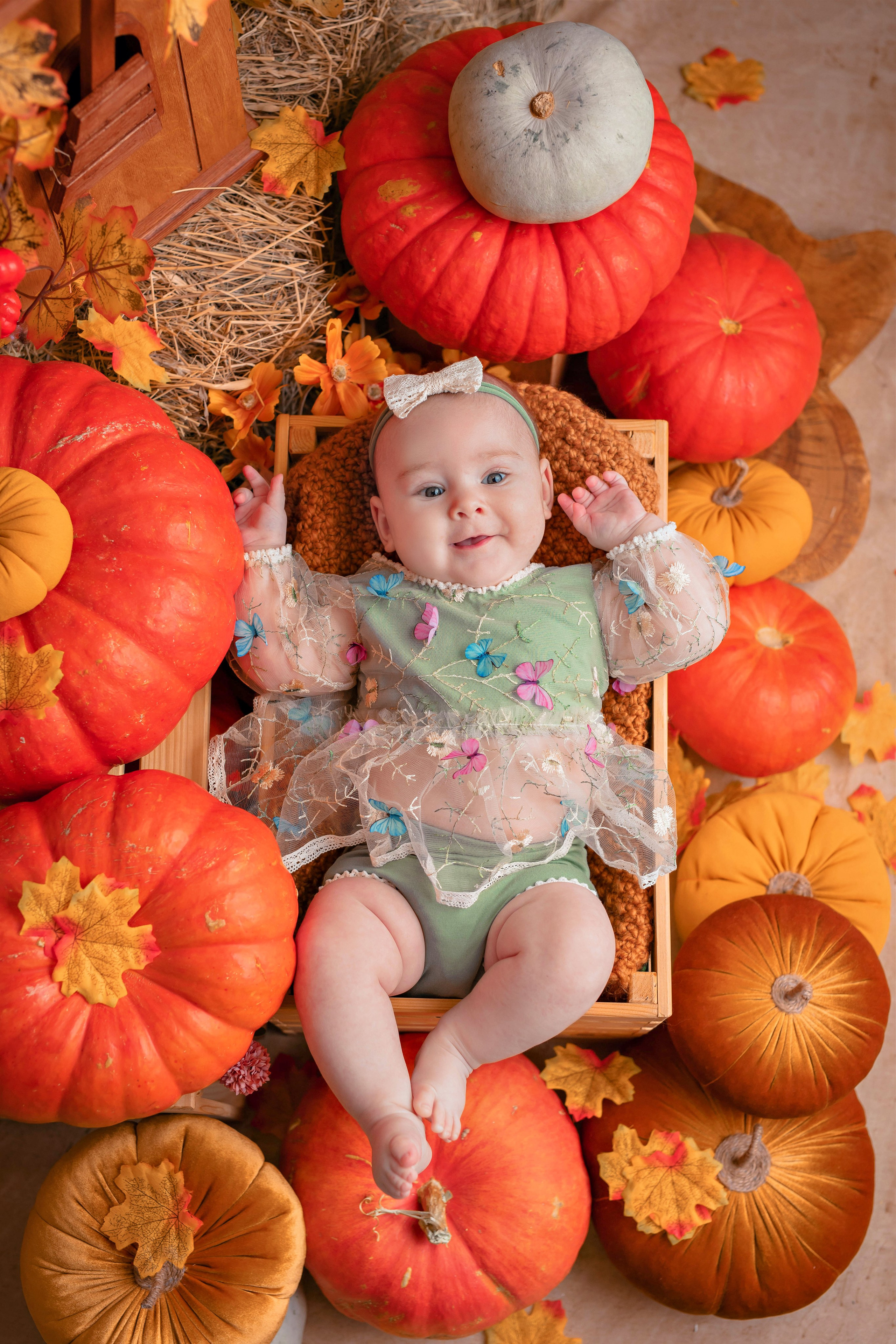 Тыквы. Фотограф Болотова Иветта