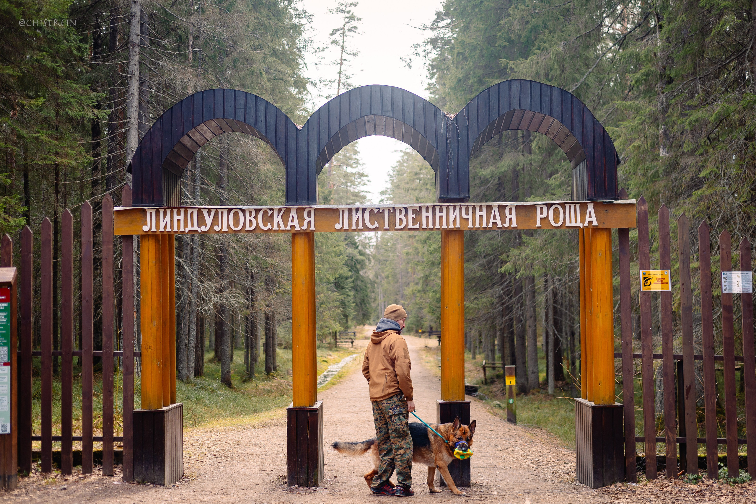 Shanti Home. Фотограф-анималист Наталия Чистюхина в г. Сосновый Бор и ЛО
