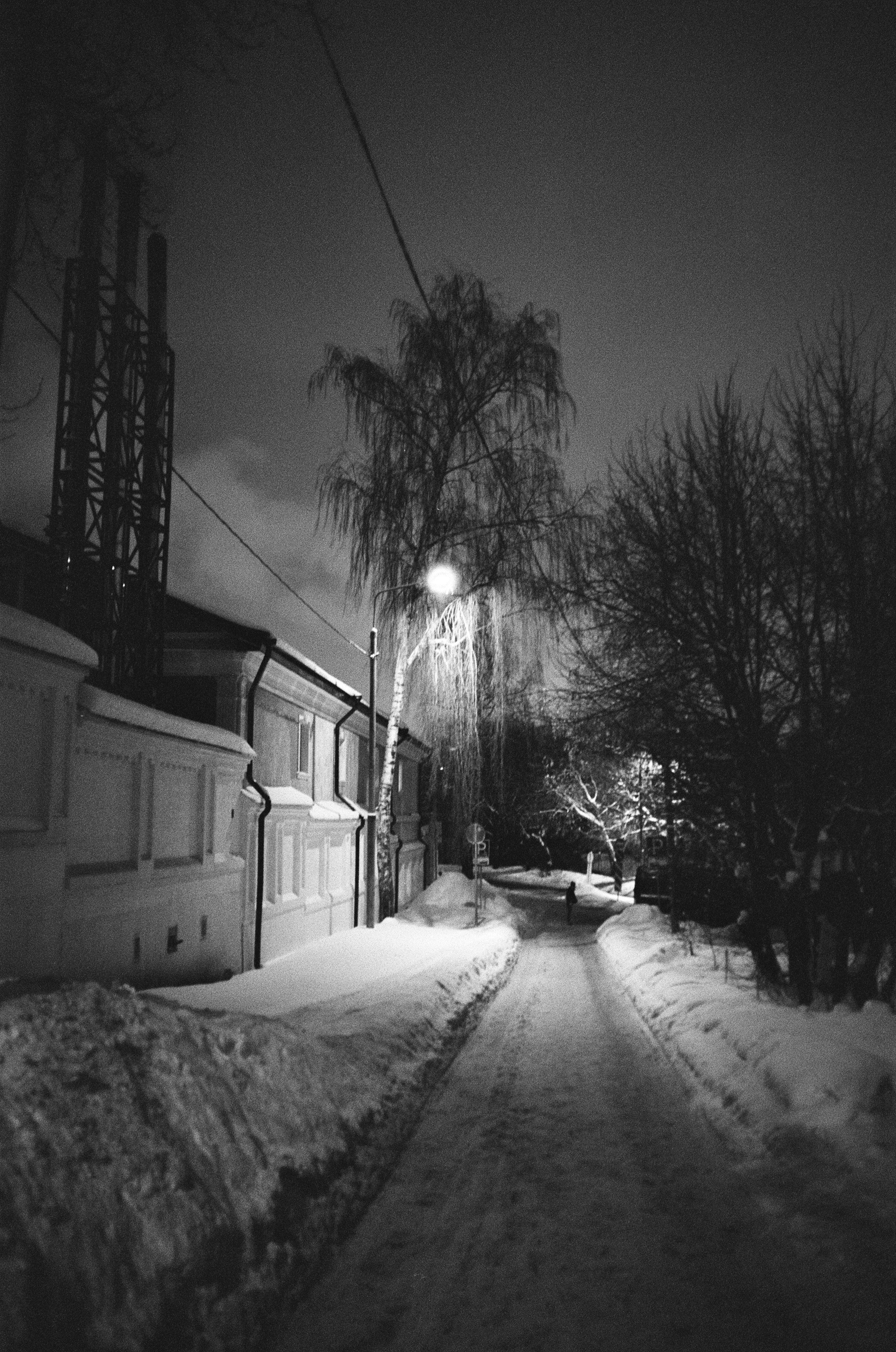 Voigtlander BESSA-T / Ultron 28 mm f/2 / Ilford PAN 400