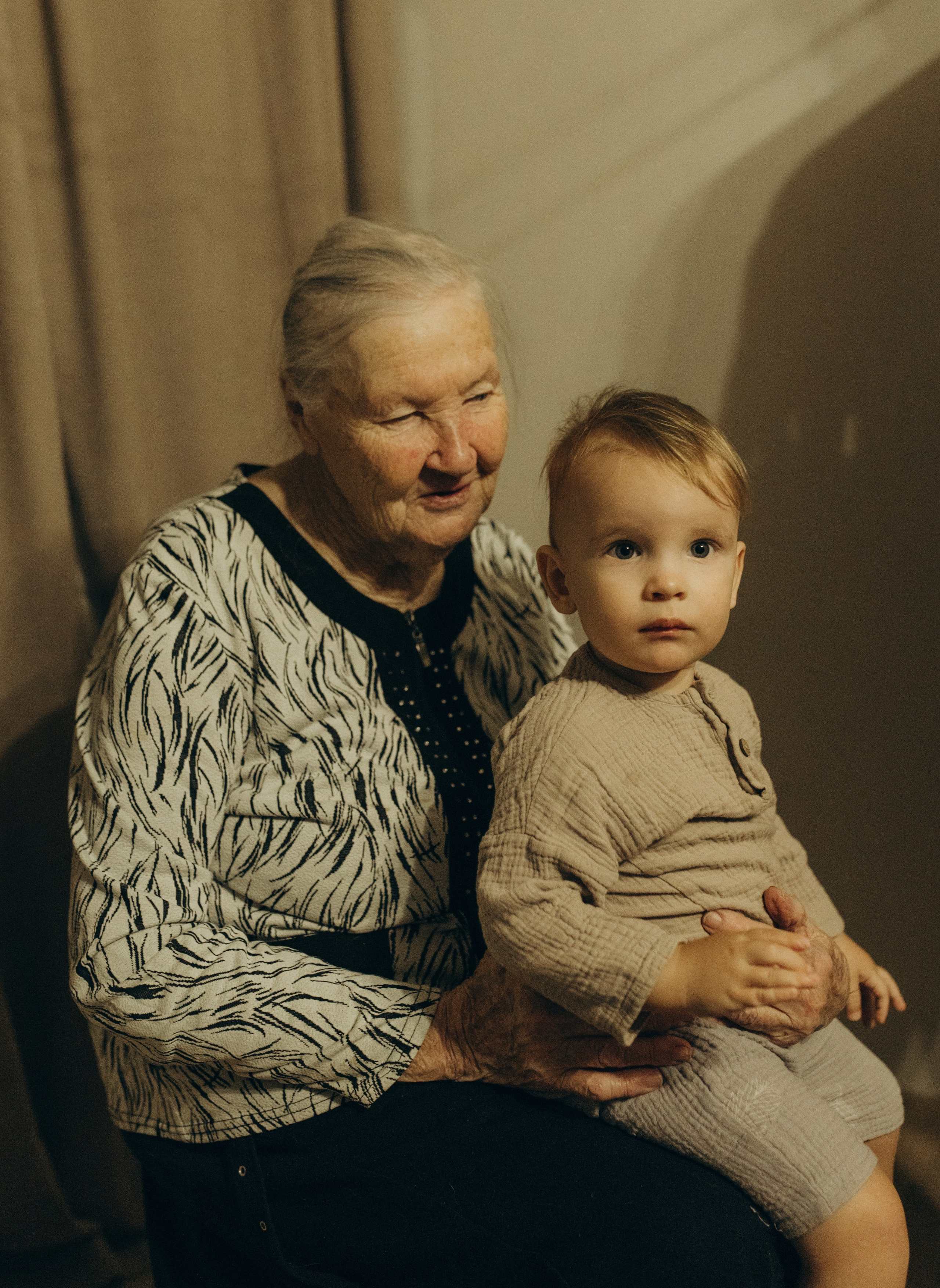 Домашняя история. Meryfotoidea