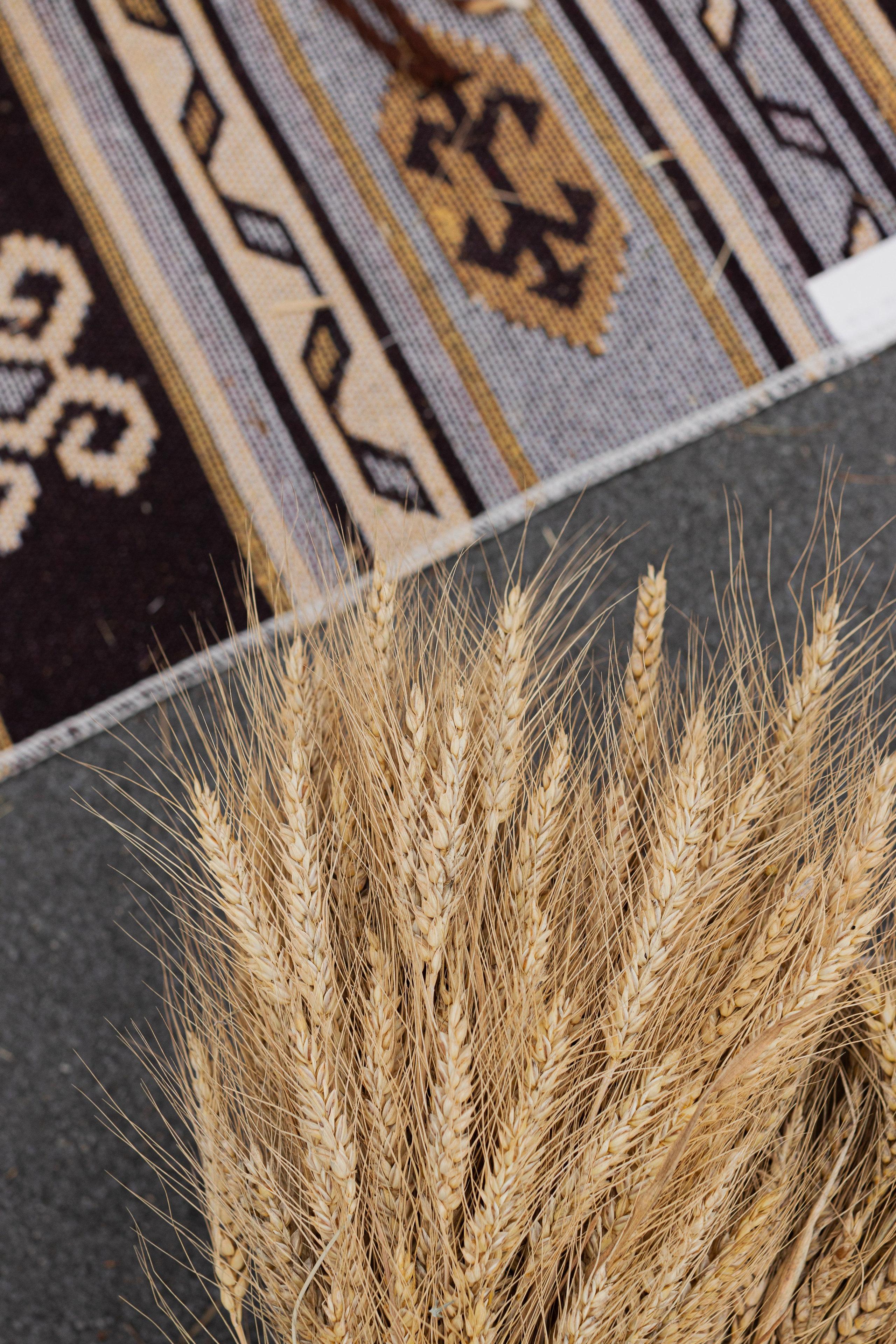 МК Осенний венок (локация на крыше). Анастасия Ракчеева Художник