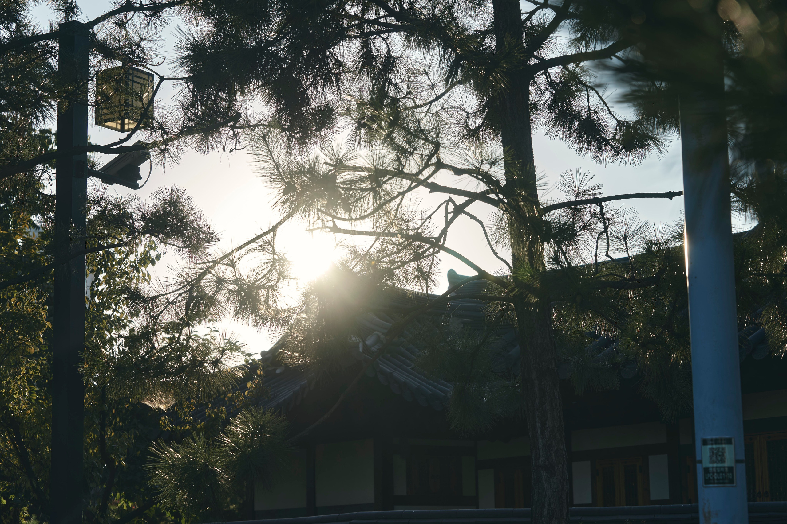 TRAVEL. Фотограф Наталья Леонова