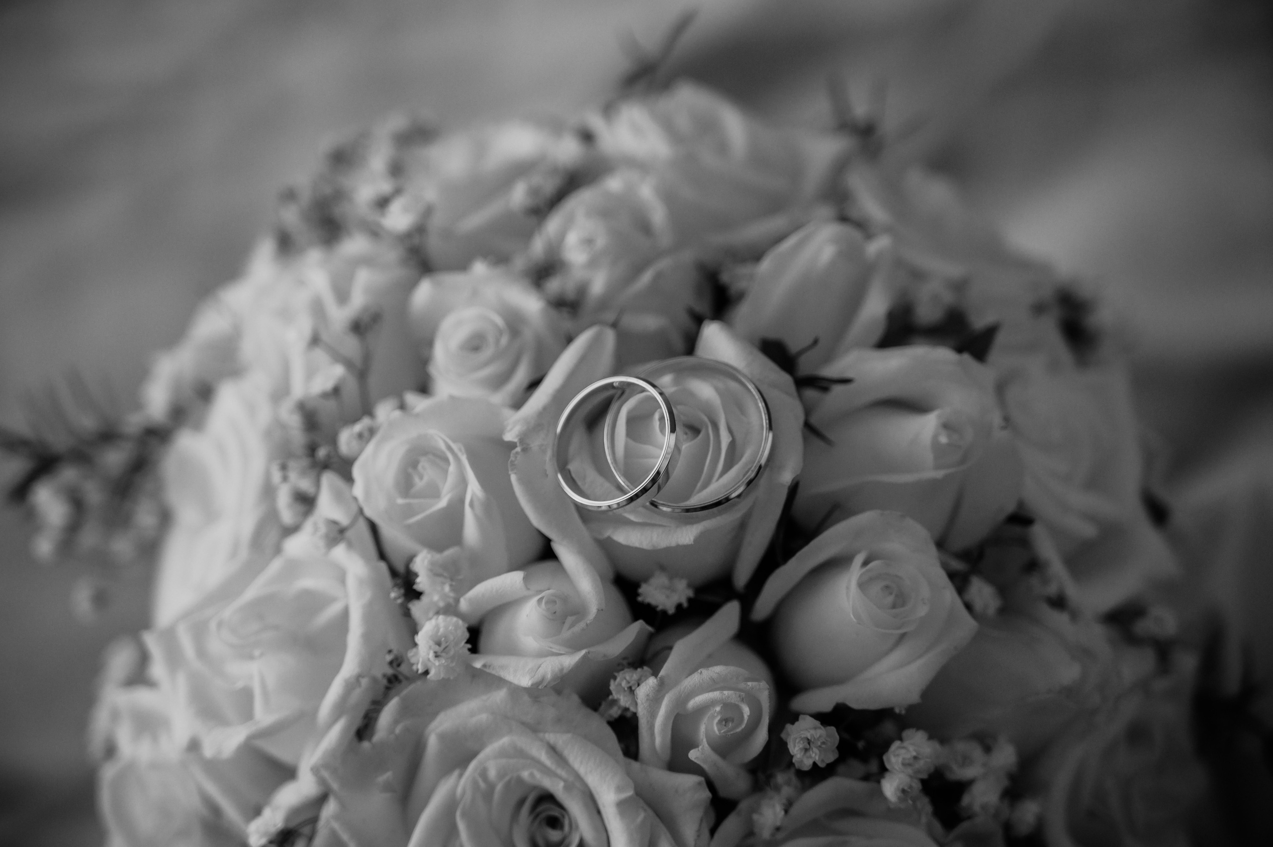 Свадьба лето. Свадебный фотограф и видеограф в городе Армавир Katerina Arts