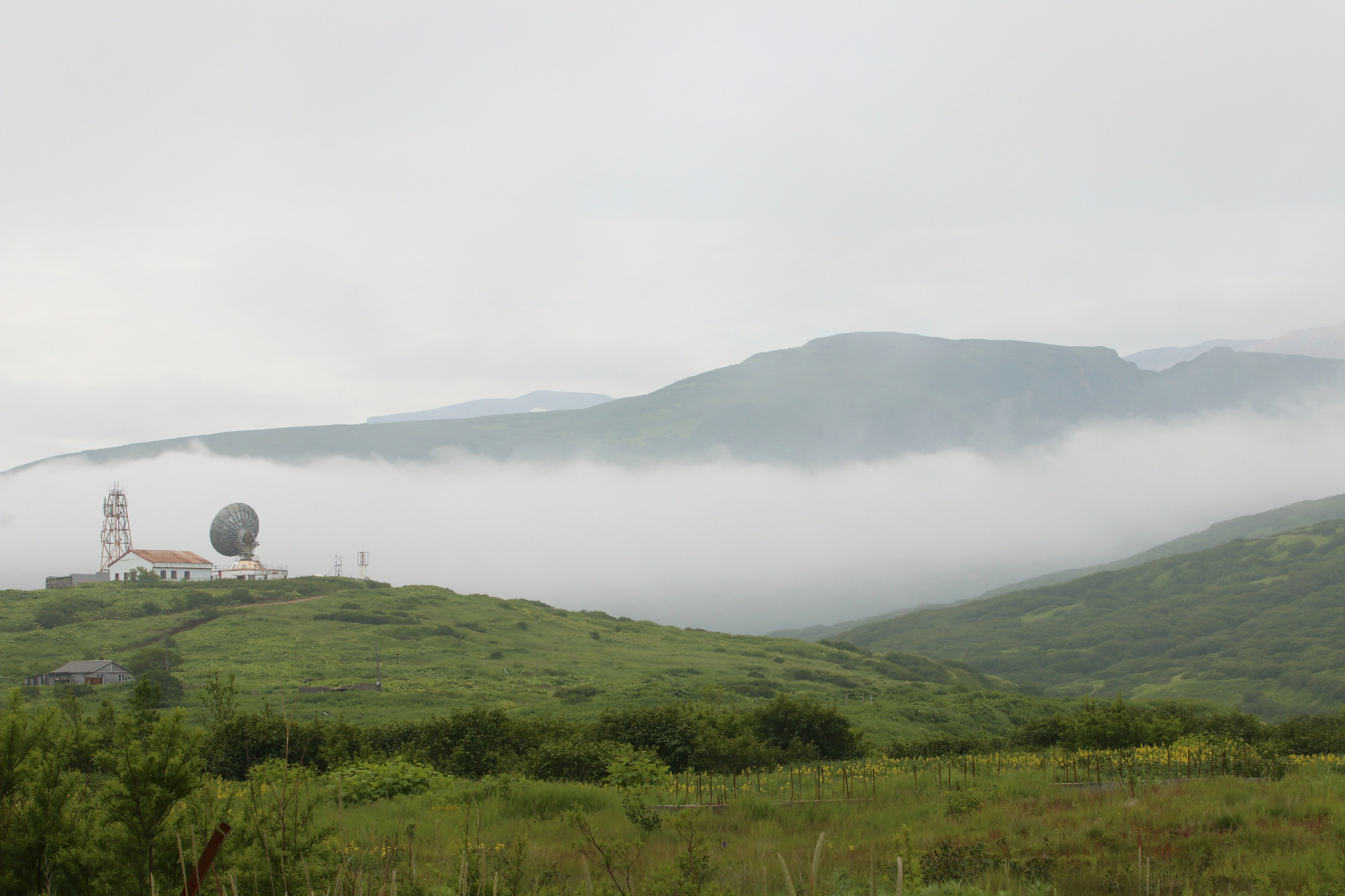 Камчатка и о. Парамушир. Июль 2024. Путешественник-фотограф из Санкт-Петербурга Татьяна Свистулина