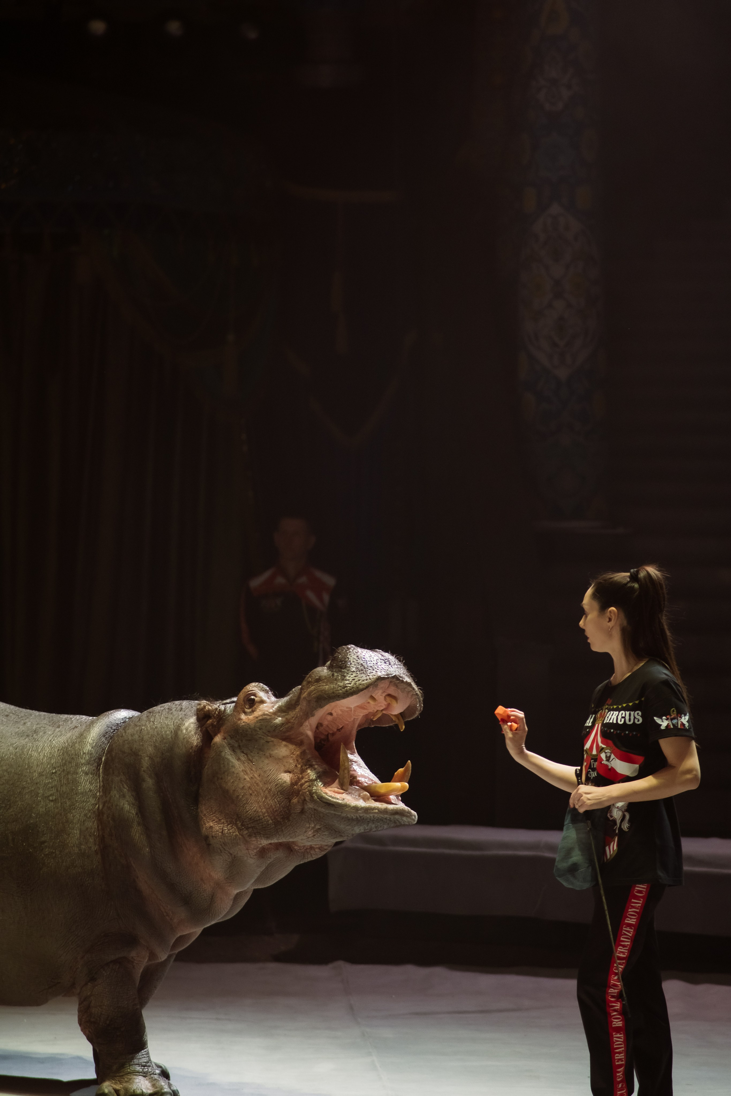 Репортаж. Фотограф Новосибирск Анна Рождественская