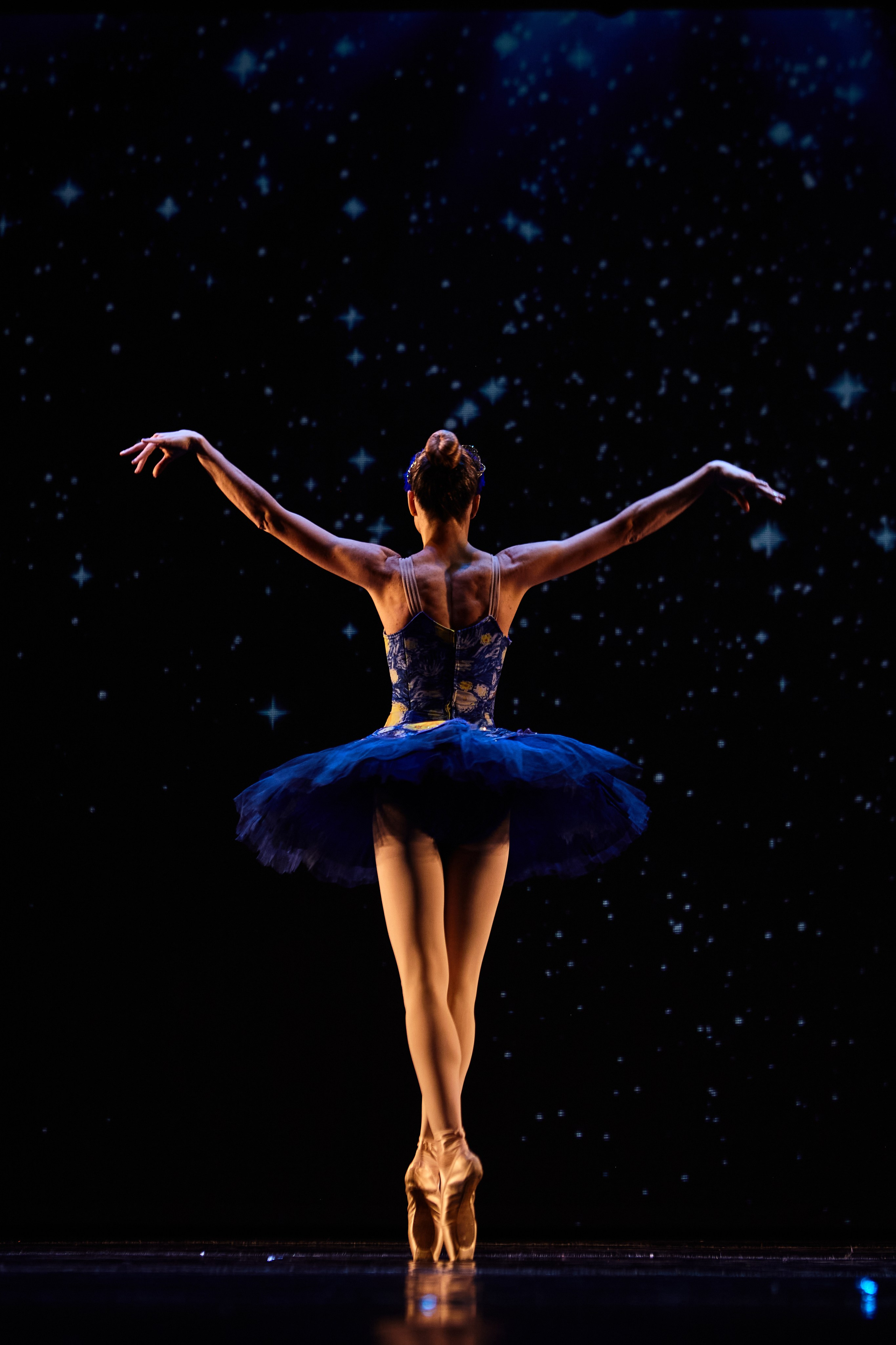 Концерты. Виолетта Скрипка