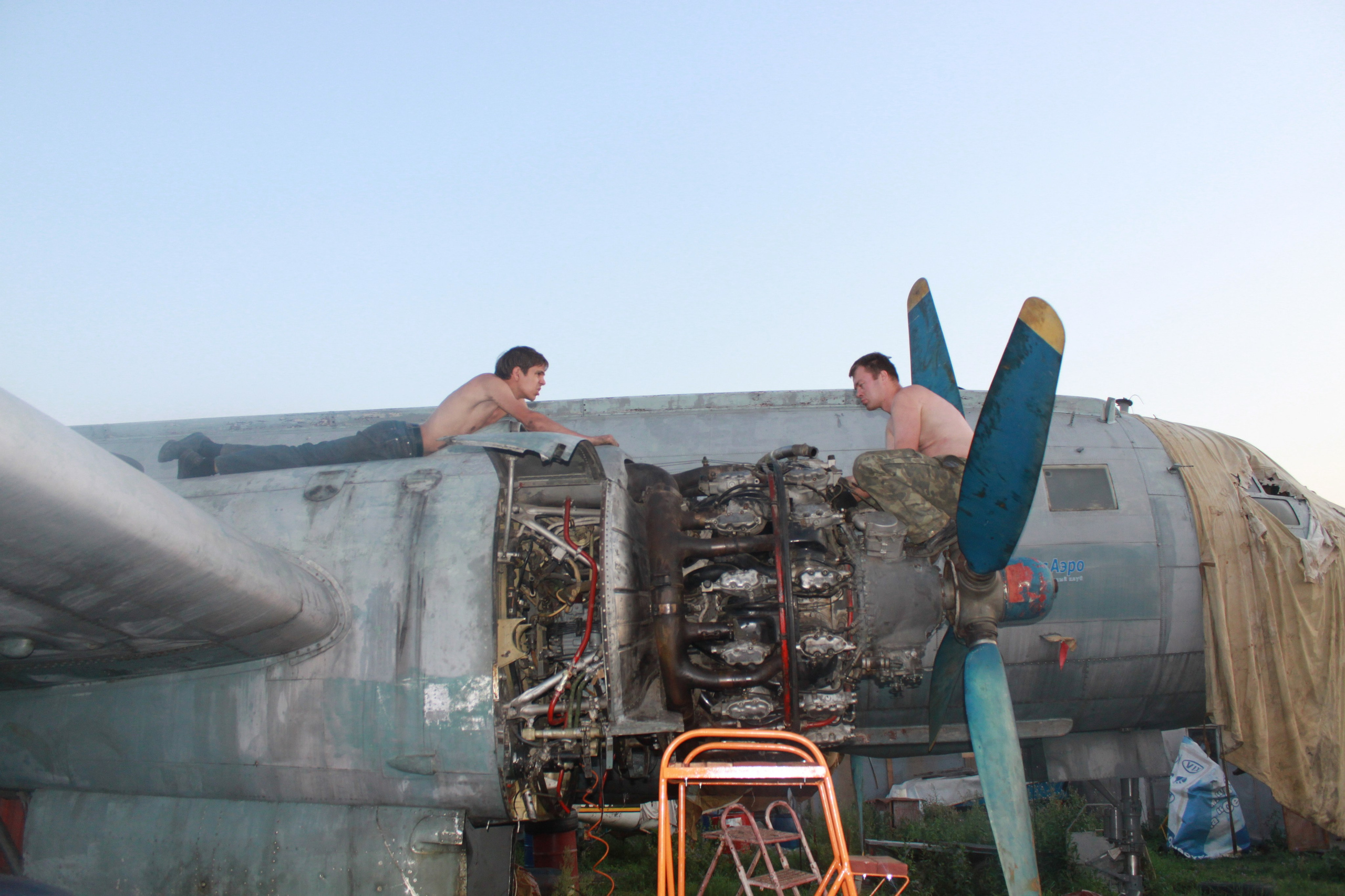 Ил-14Т «Голубая Мечта» работы в Тушино (2011 г.). Фотоальбом показывающий увлекательный мир авиации и мир медведей Андрея Иванова