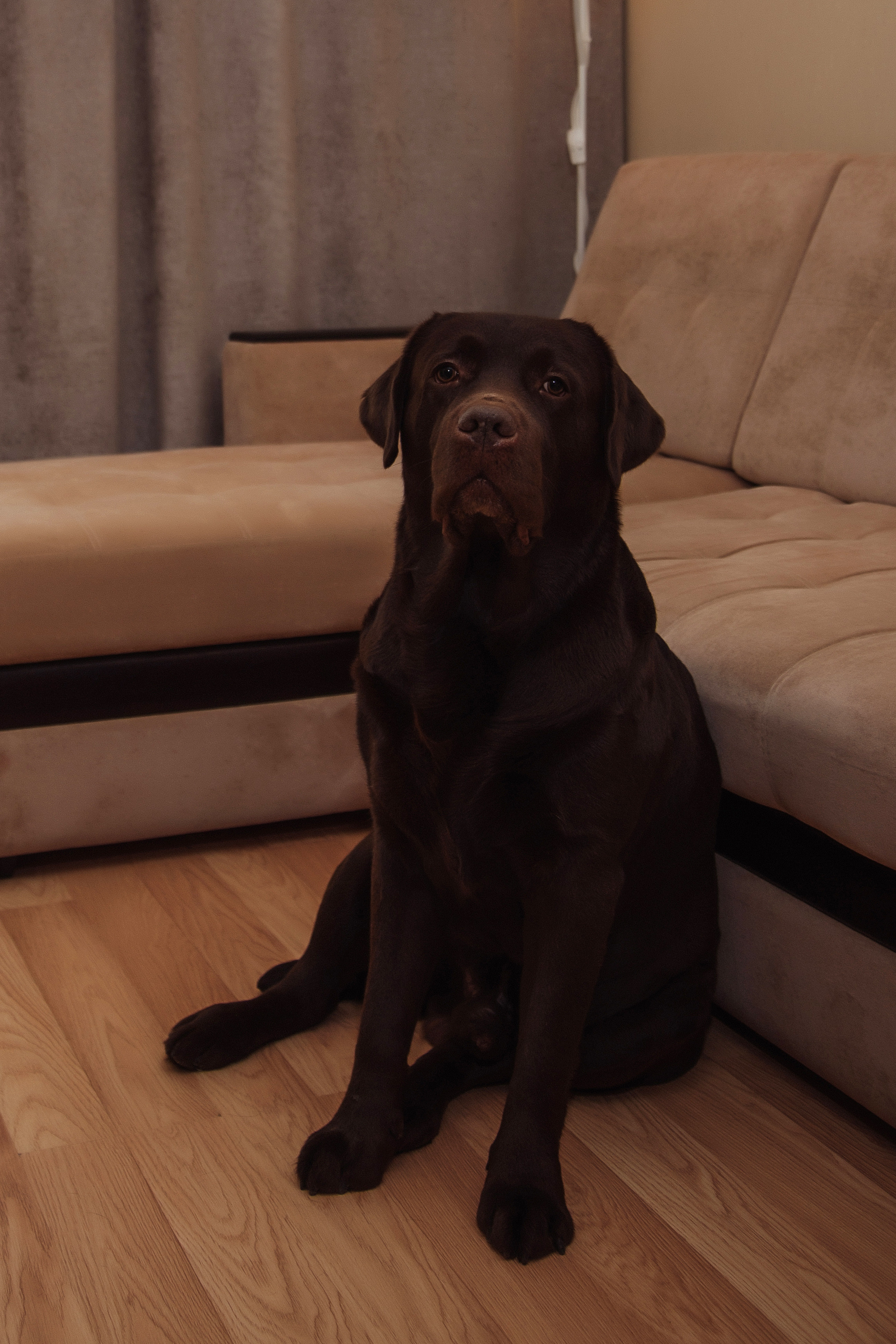 Маша и Дима. Свадебный, портретный, фотограф беременности в Нижнем Новгороде Алина Зиновьева