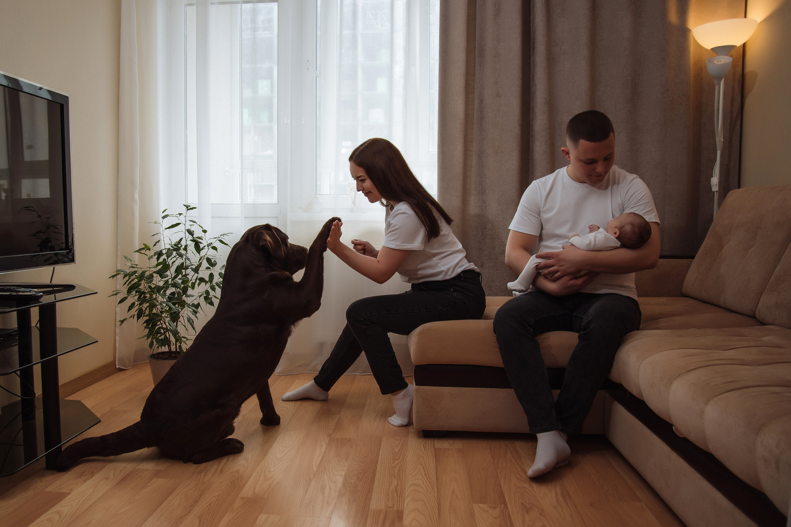 Маша и Дима. Свадебный, портретный, фотограф беременности в Нижнем Новгороде Алина Зиновьева